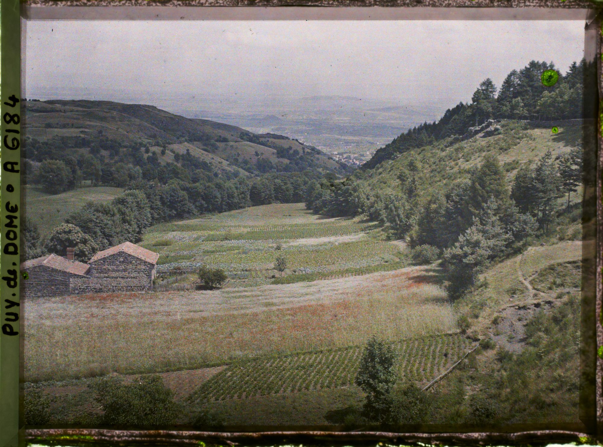 Image représentant France, Champ de Coquelicots près de Royat.