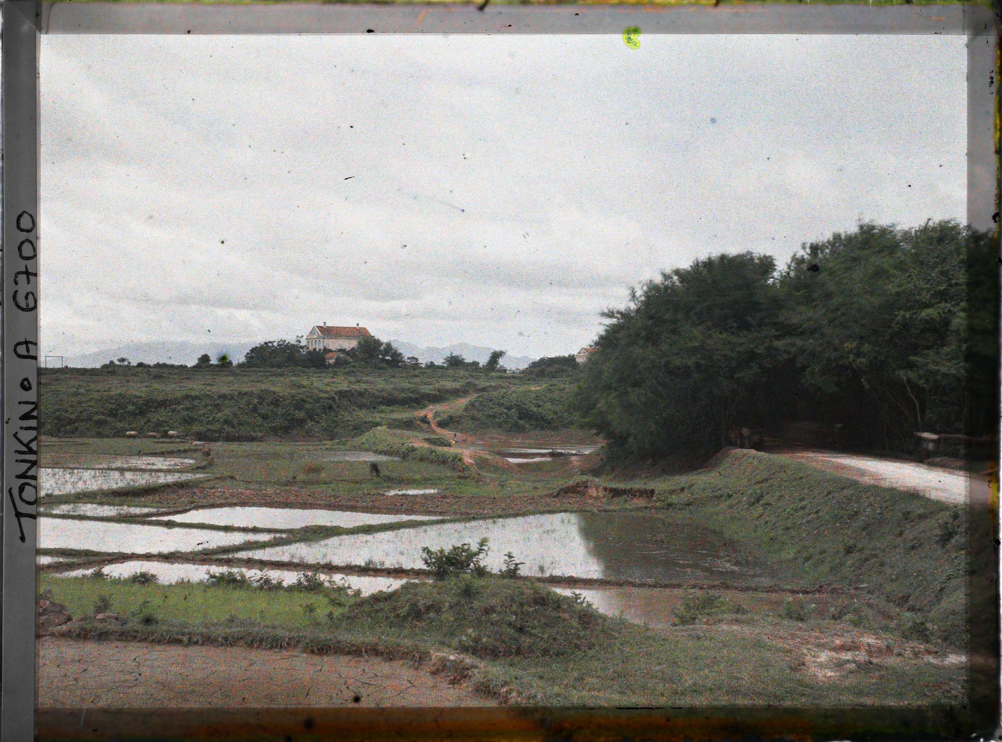 Image représentant Une rizière aux abords du village