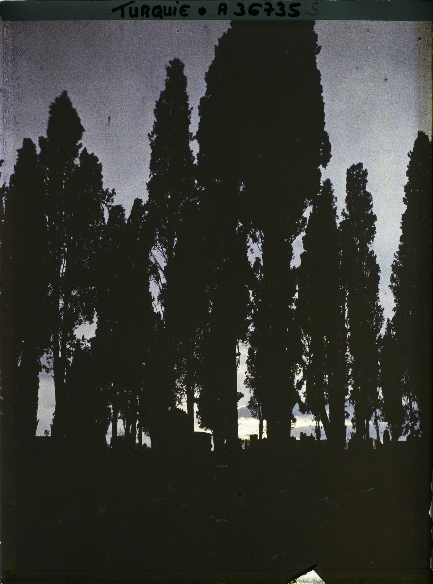 Image représentant Turquie, Scutari d'Asie, Cimetière, effet du Soir
