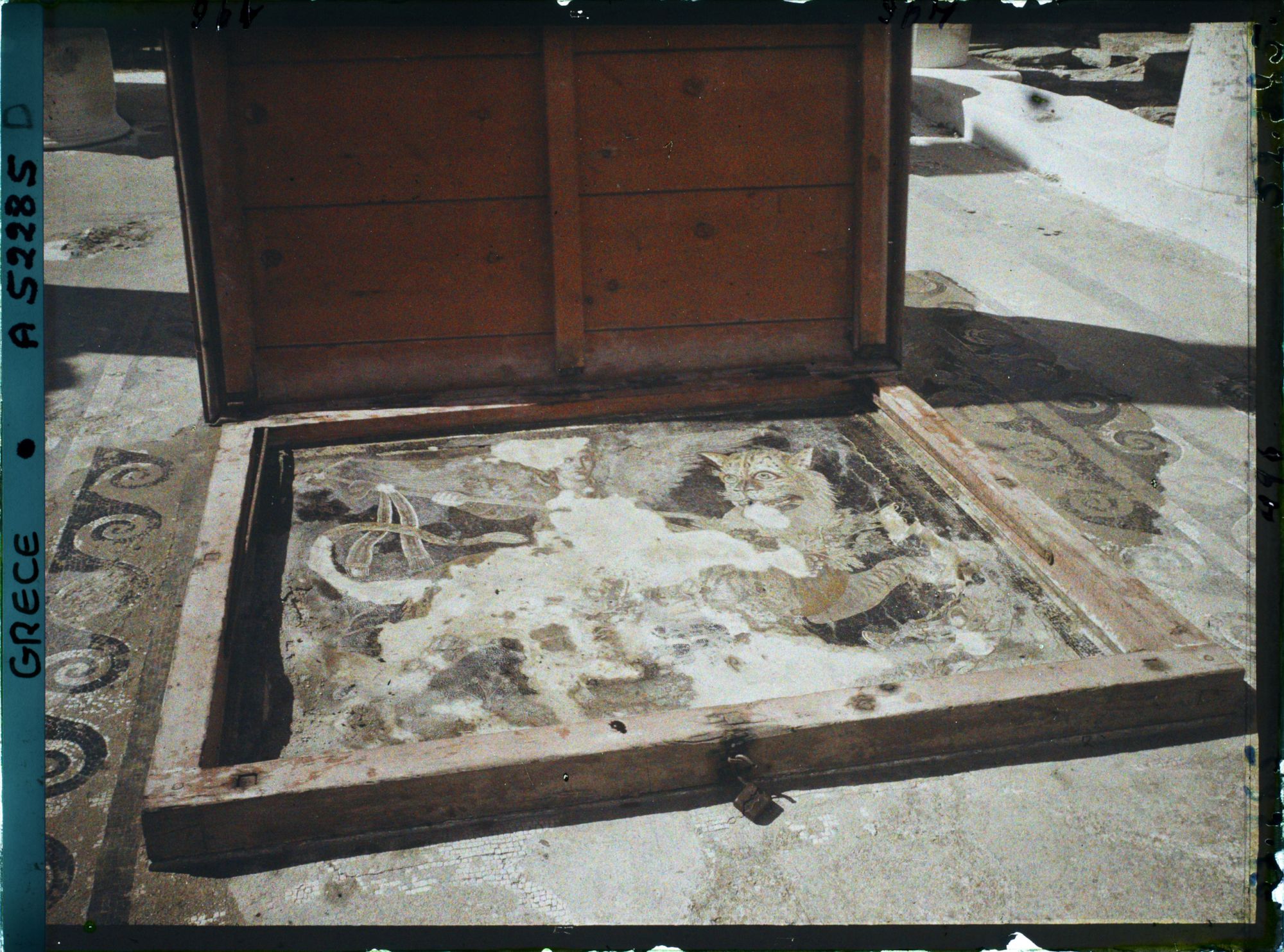 Image représentant Maison du Dionysos (la Mosaïque)