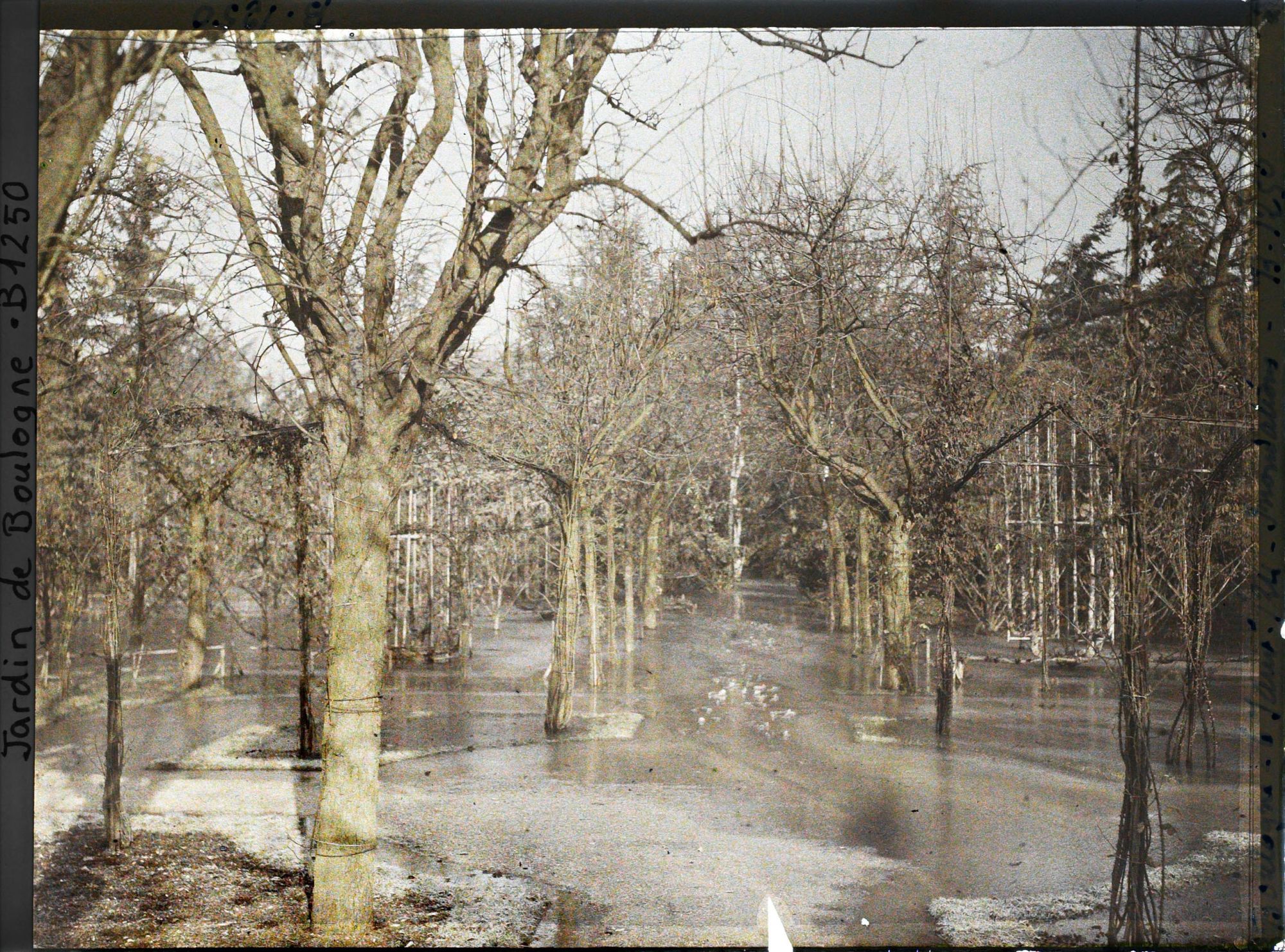Image représentant Rond-point inondé proche du jardin français, sur une allée du verger-roseraie menant à la forêt bleue