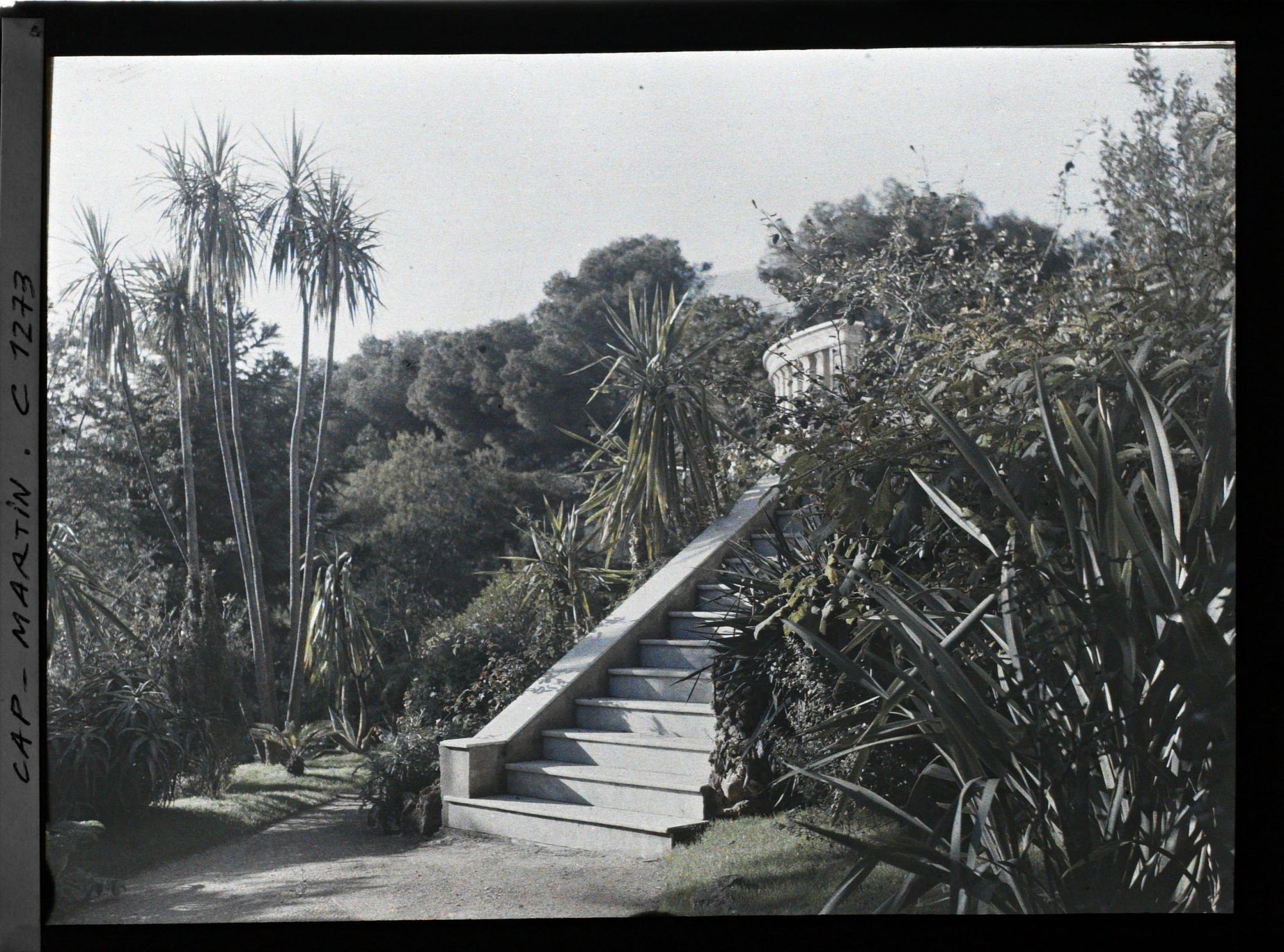 Image représentant Cap Martin Villa Dunure