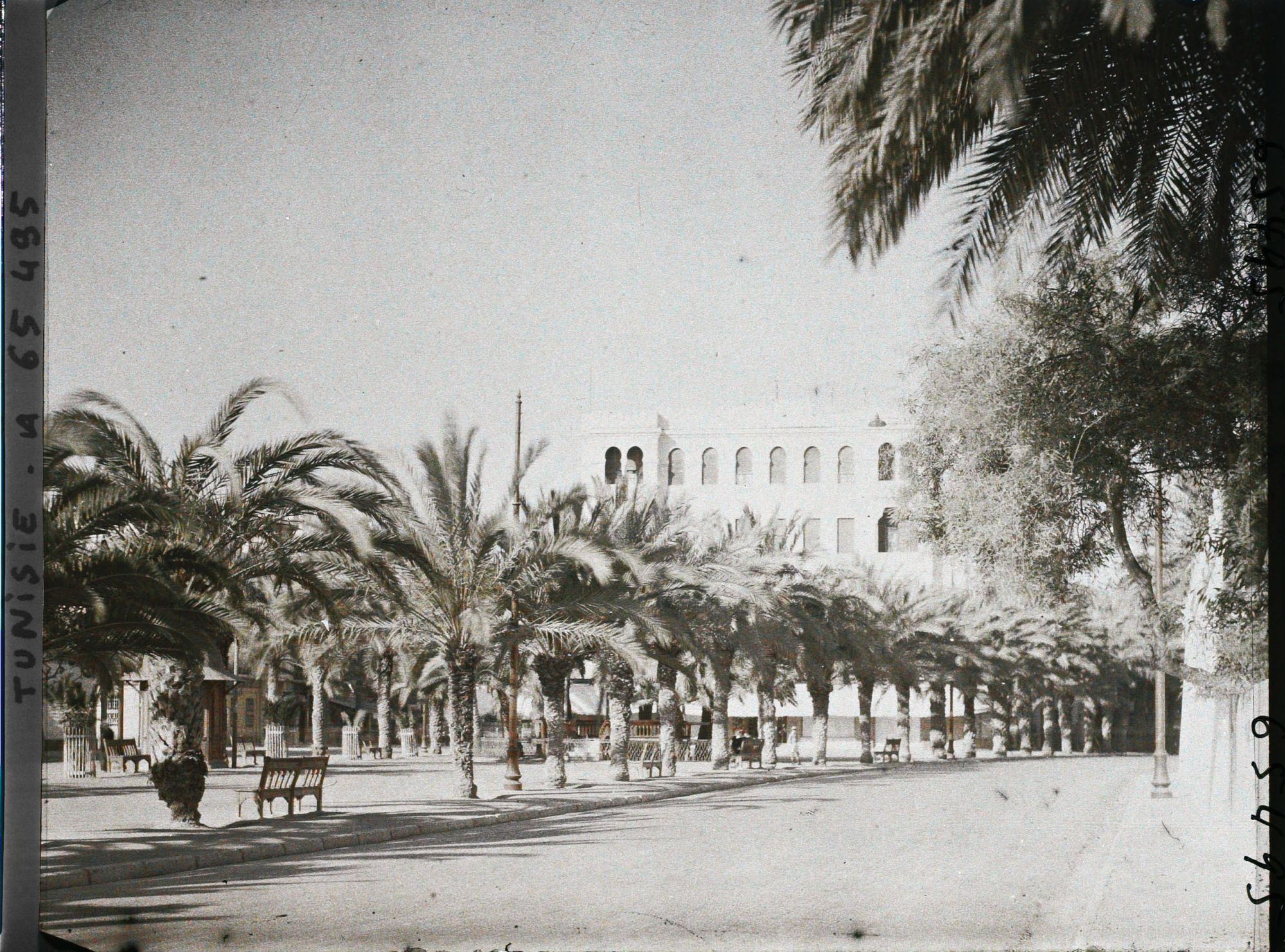 Image représentant La place Jérôme-Fidelle