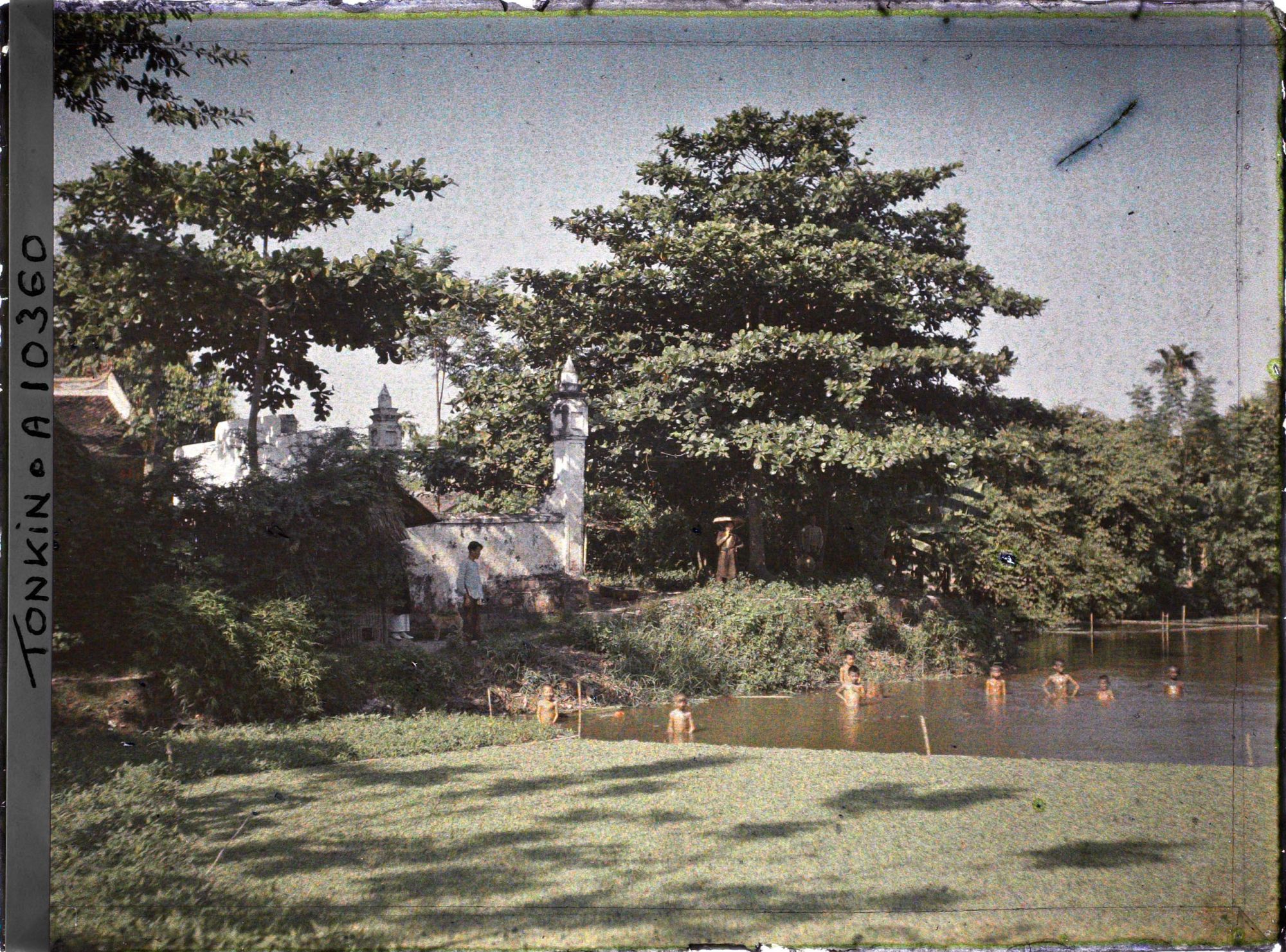 Image représentant Des enfants à la baignade, dans un étang partiellement recouvert de liseron d'eau