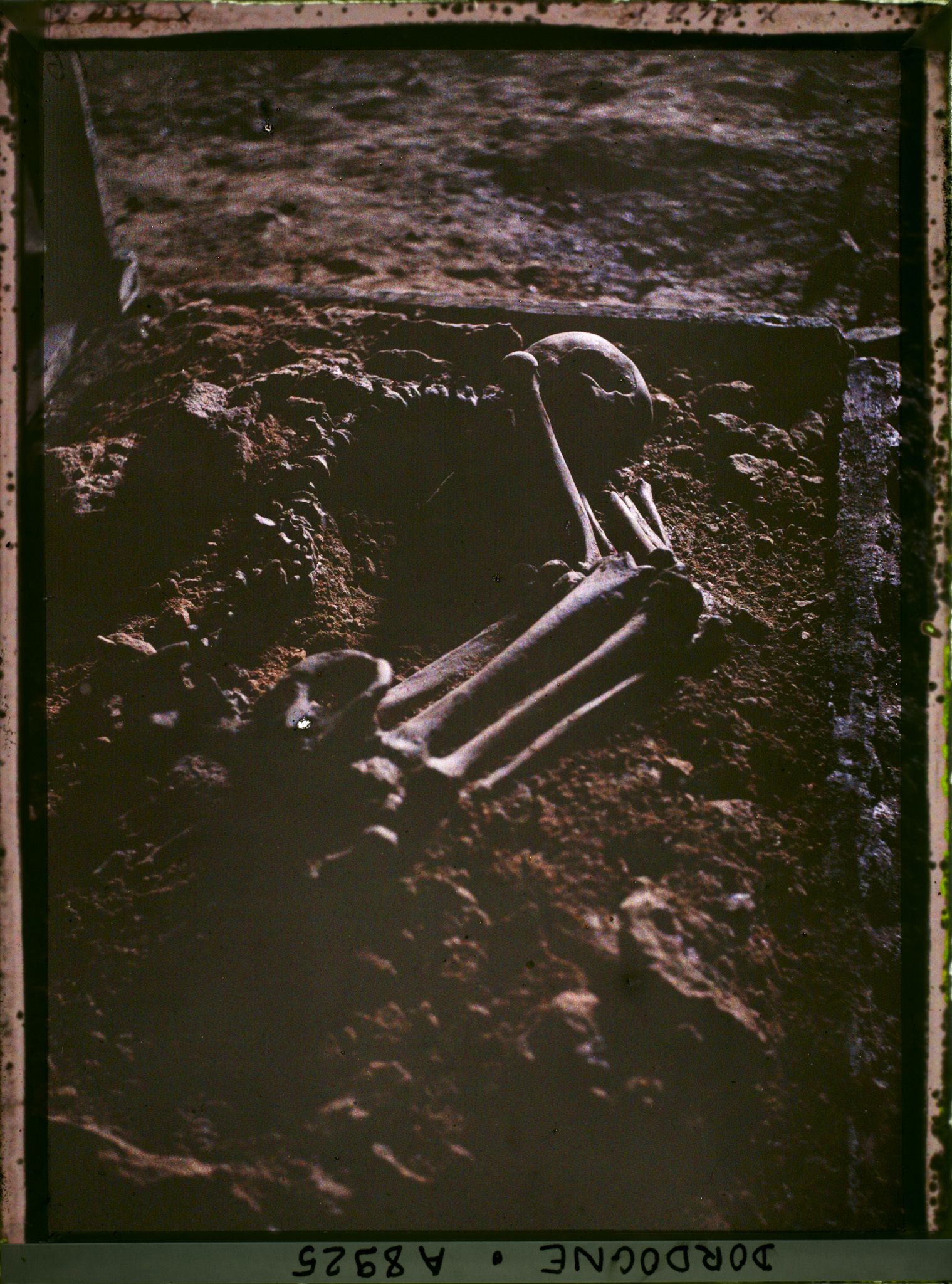 Image représentant Abri de Laussel