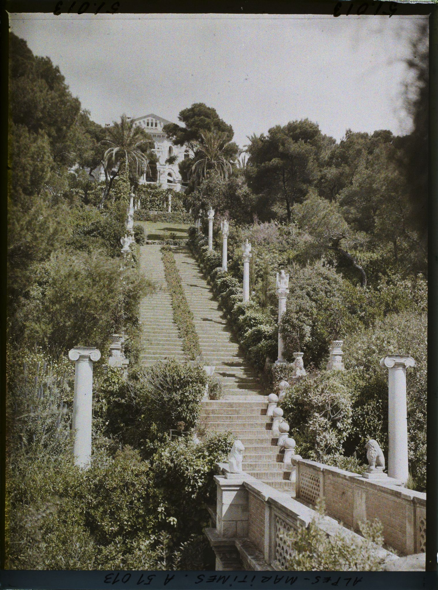 Image représentant La villa Cypris dominant le grand escalier fleuri du jardin ponctué de sculptures et la passerelle
