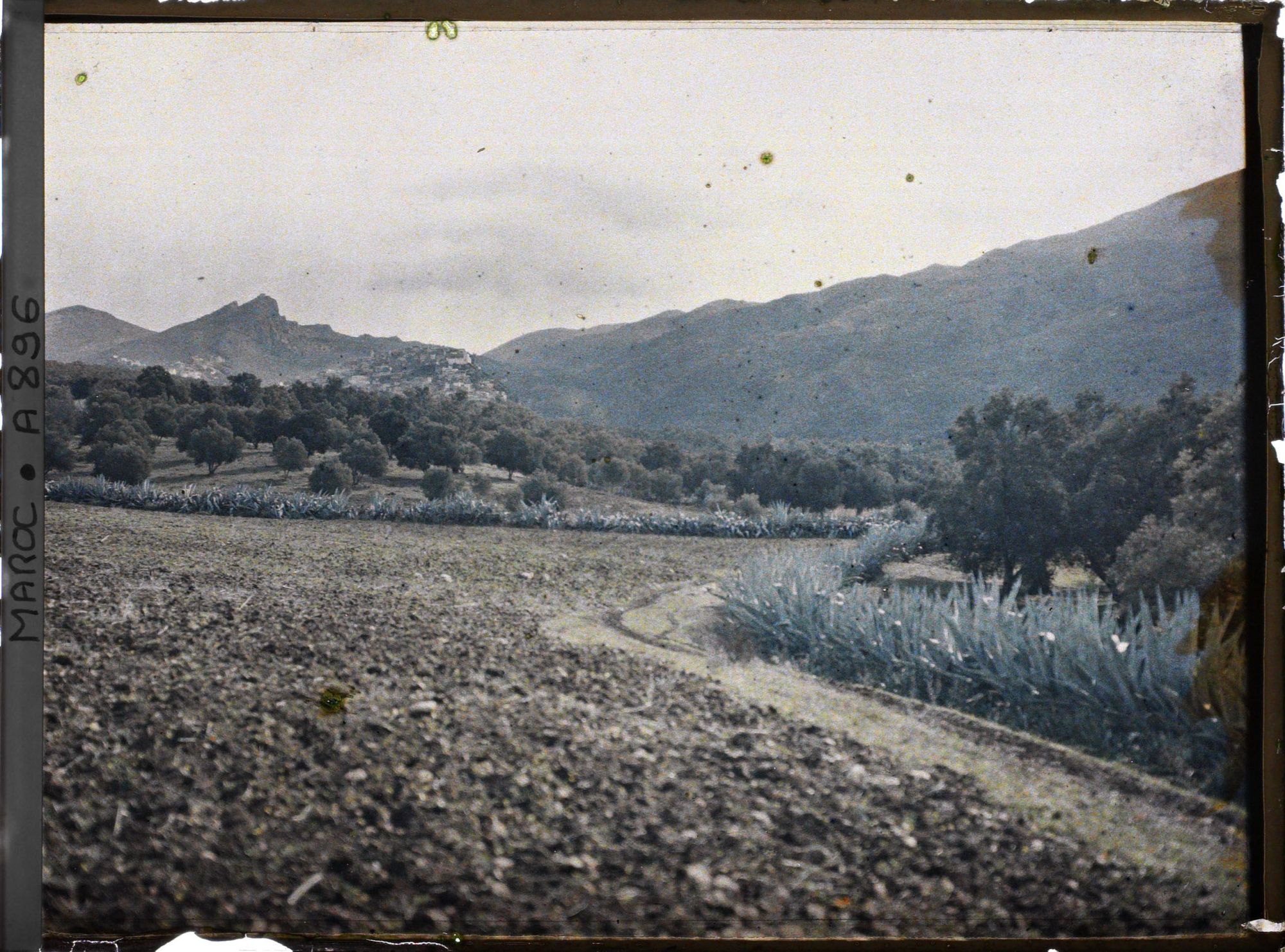 Image représentant Sur le route menant à Fès