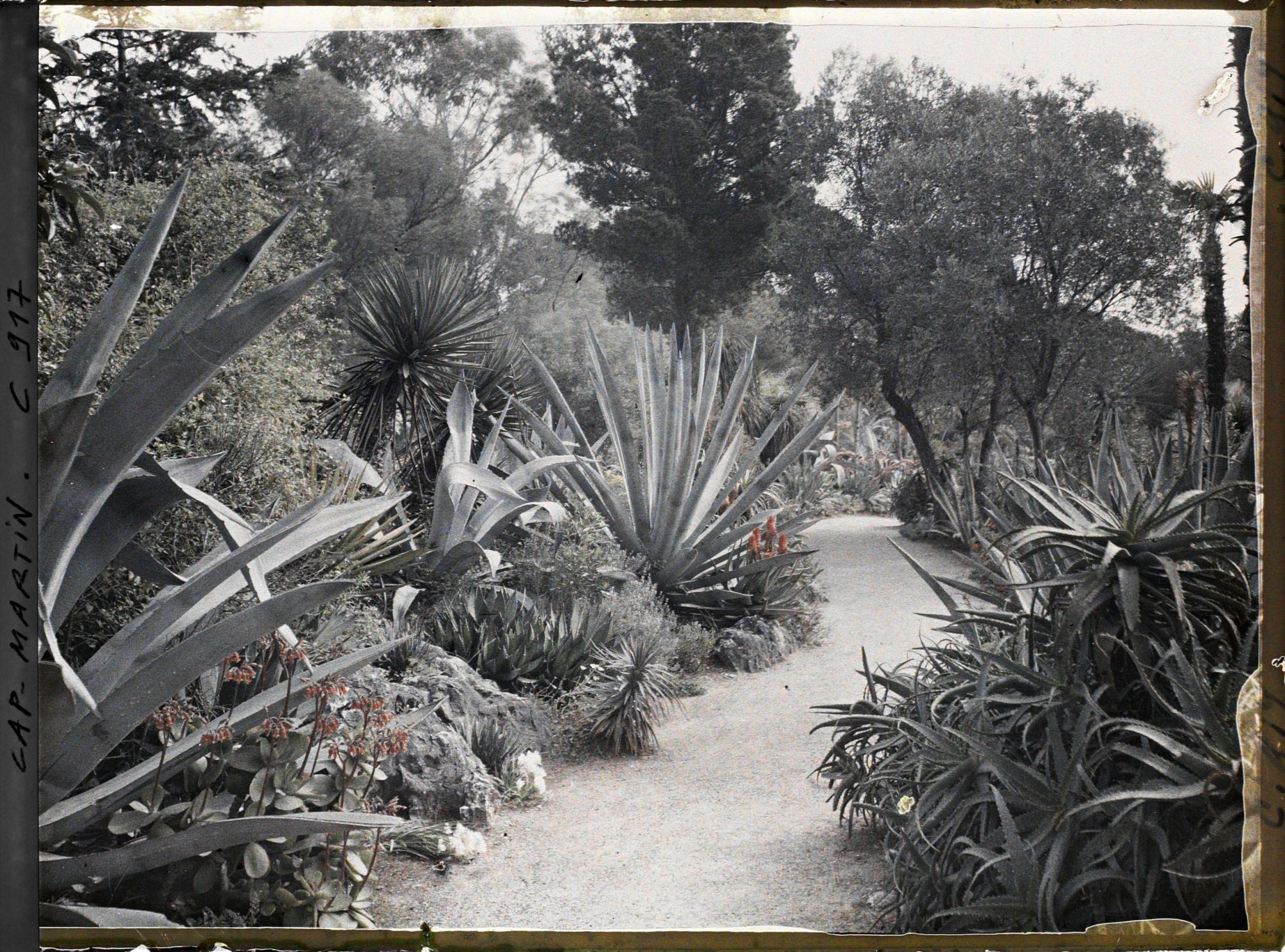 Image représentant Le Jardin