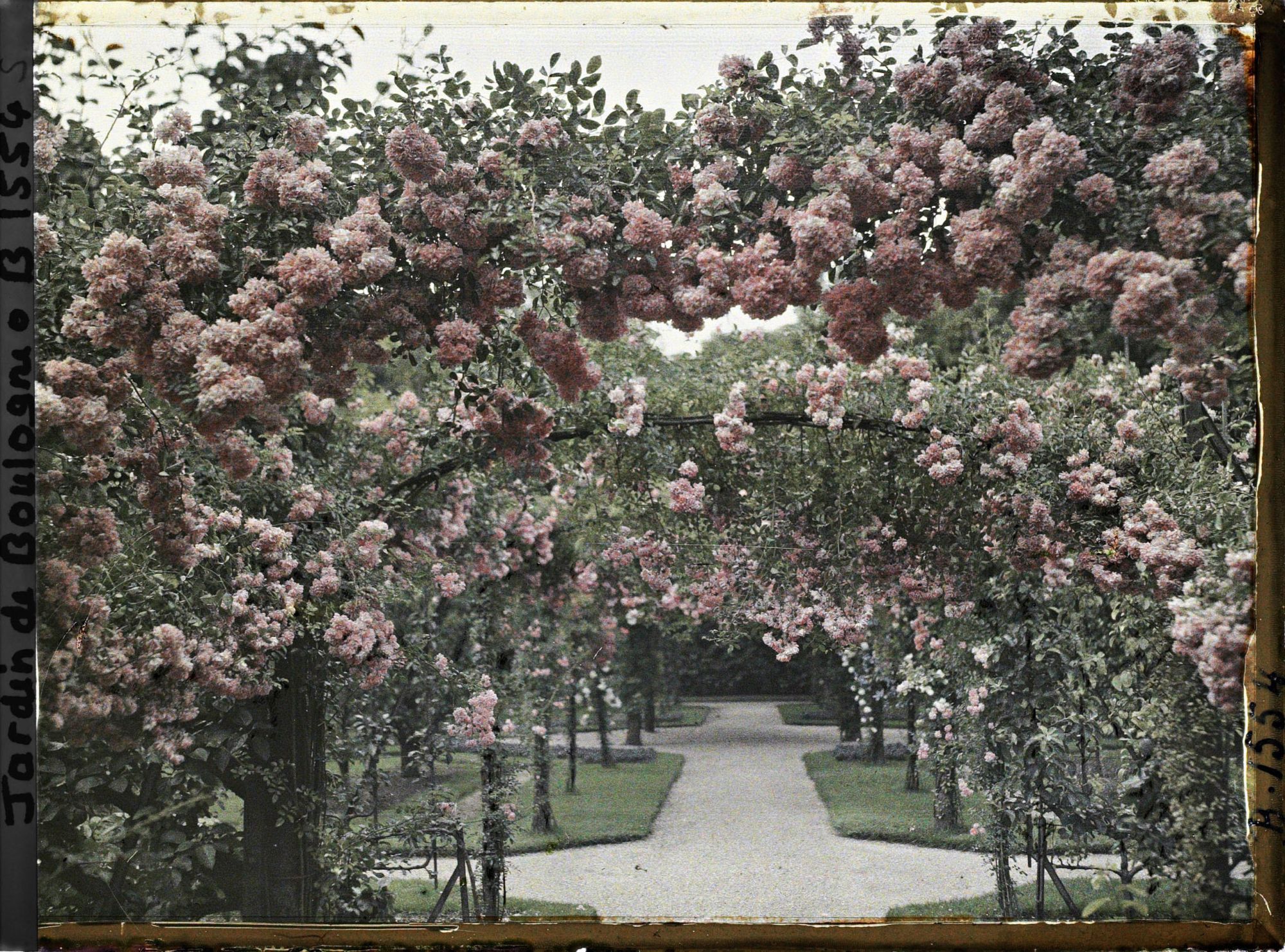 Image représentant Axe central du verger-roseraie vu depuis le second carrefour avant la dépendance