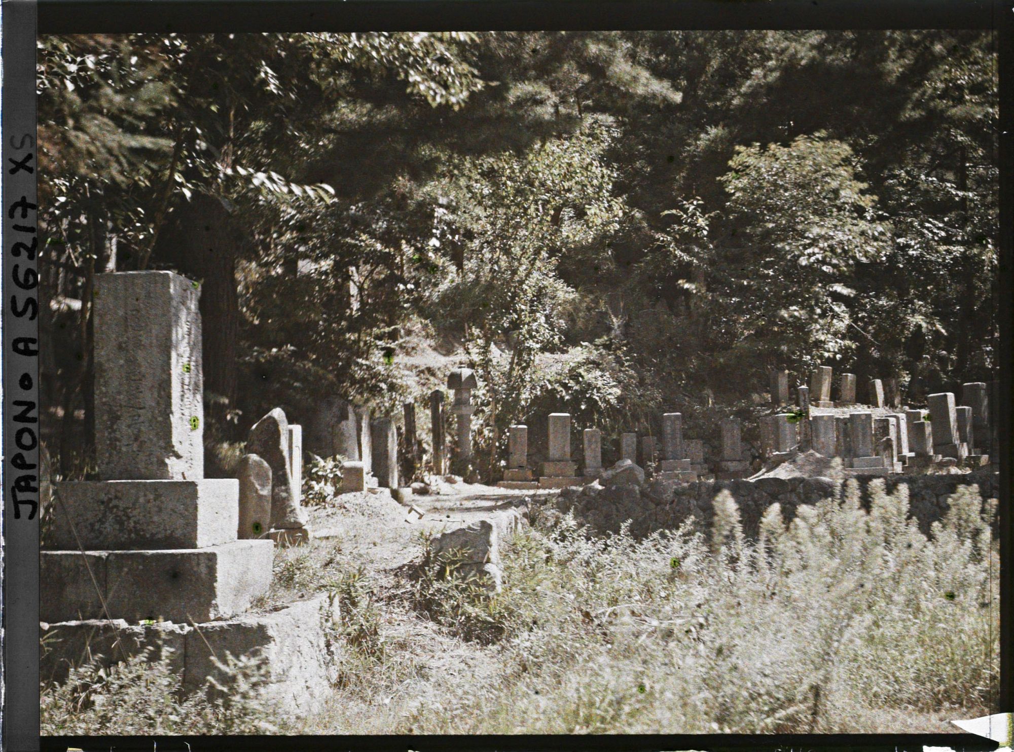 Image représentant Un coin du cimetière