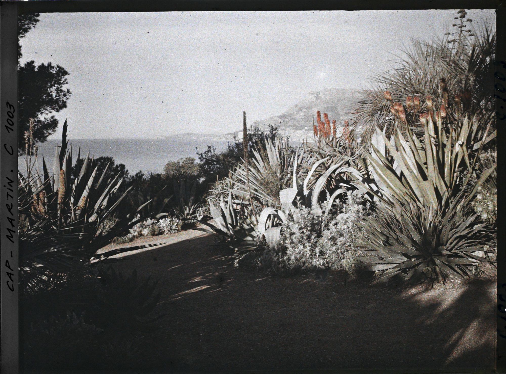 Image représentant Le Jardin (matin, vers Monaco)