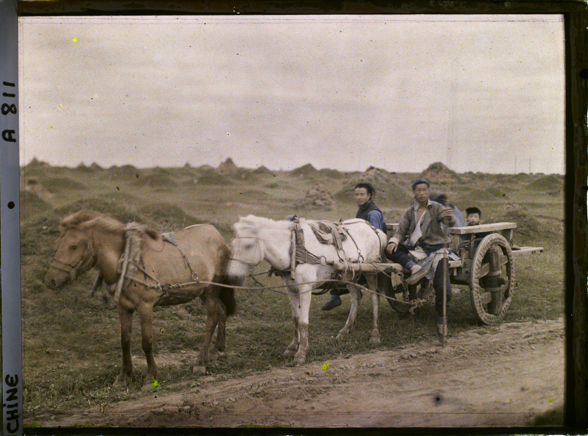 Image représentant Dans les champs