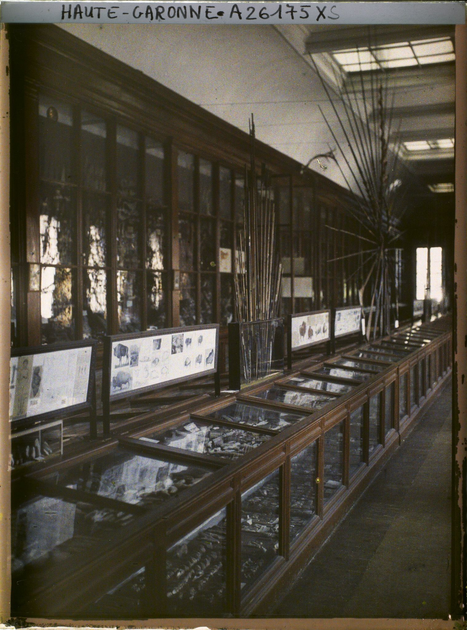 Image représentant France, Toulouse, Musée : La salle du Musée Préhistorique