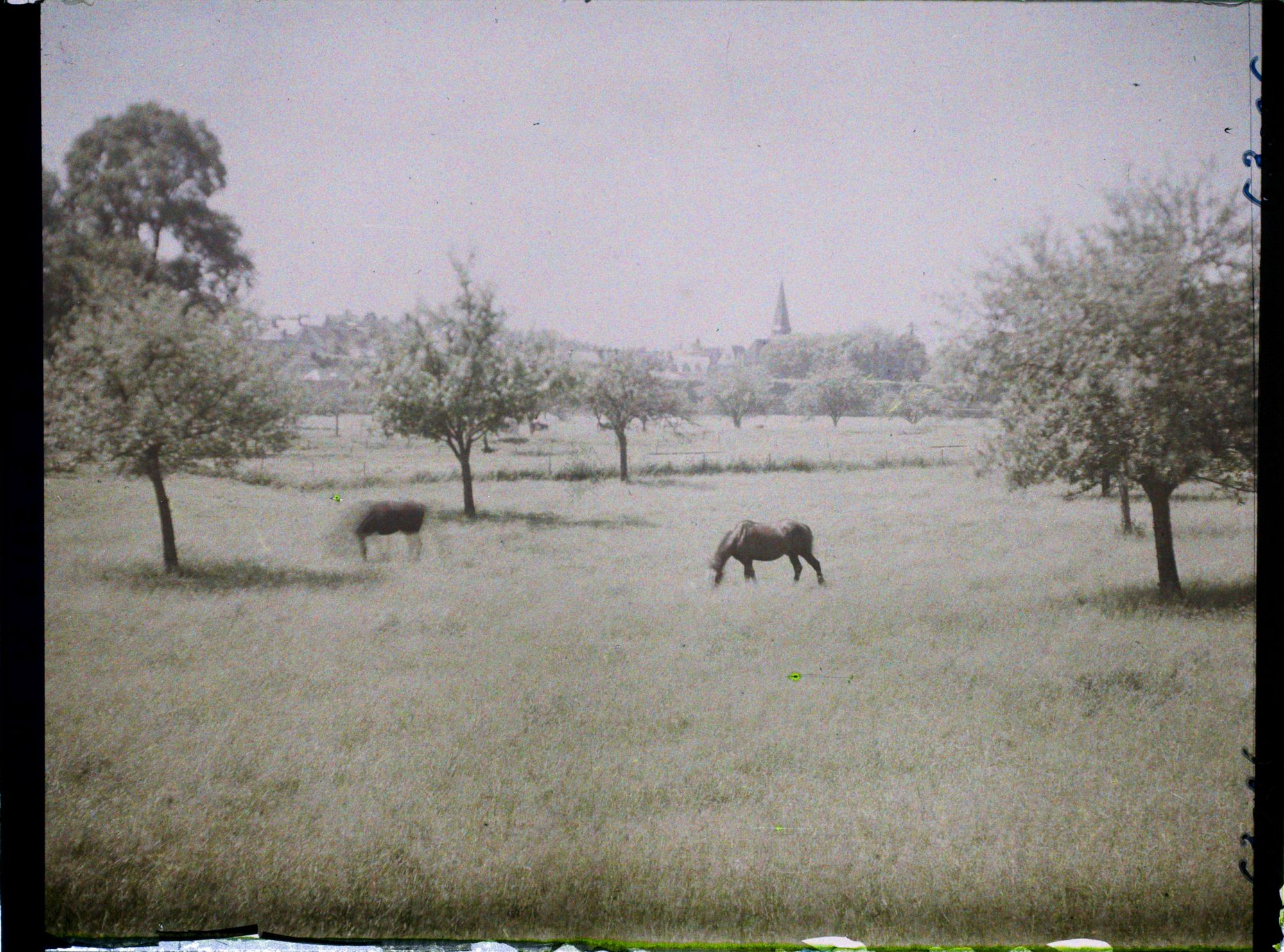 Image représentant Ile de France, Magny-en-Vexin, Pâturages
