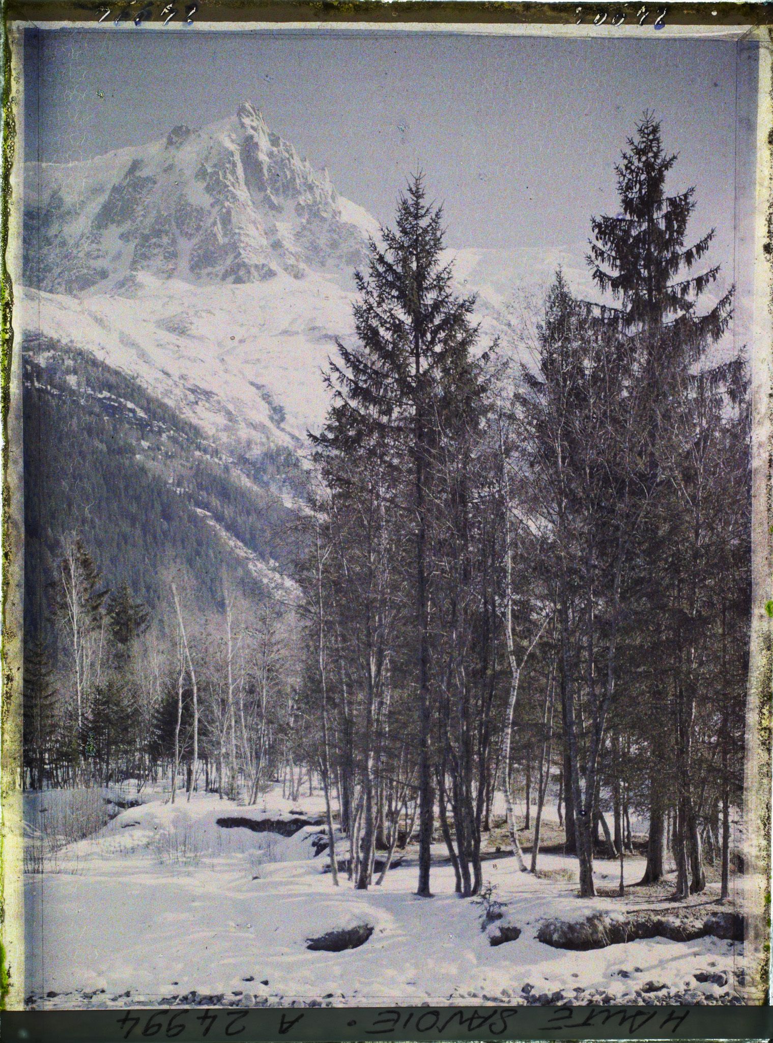 Image représentant France, Les Alpes-Vallée de Chamonix  Paysage de la Vallée de Chamonix vers l'aiguille du Plan