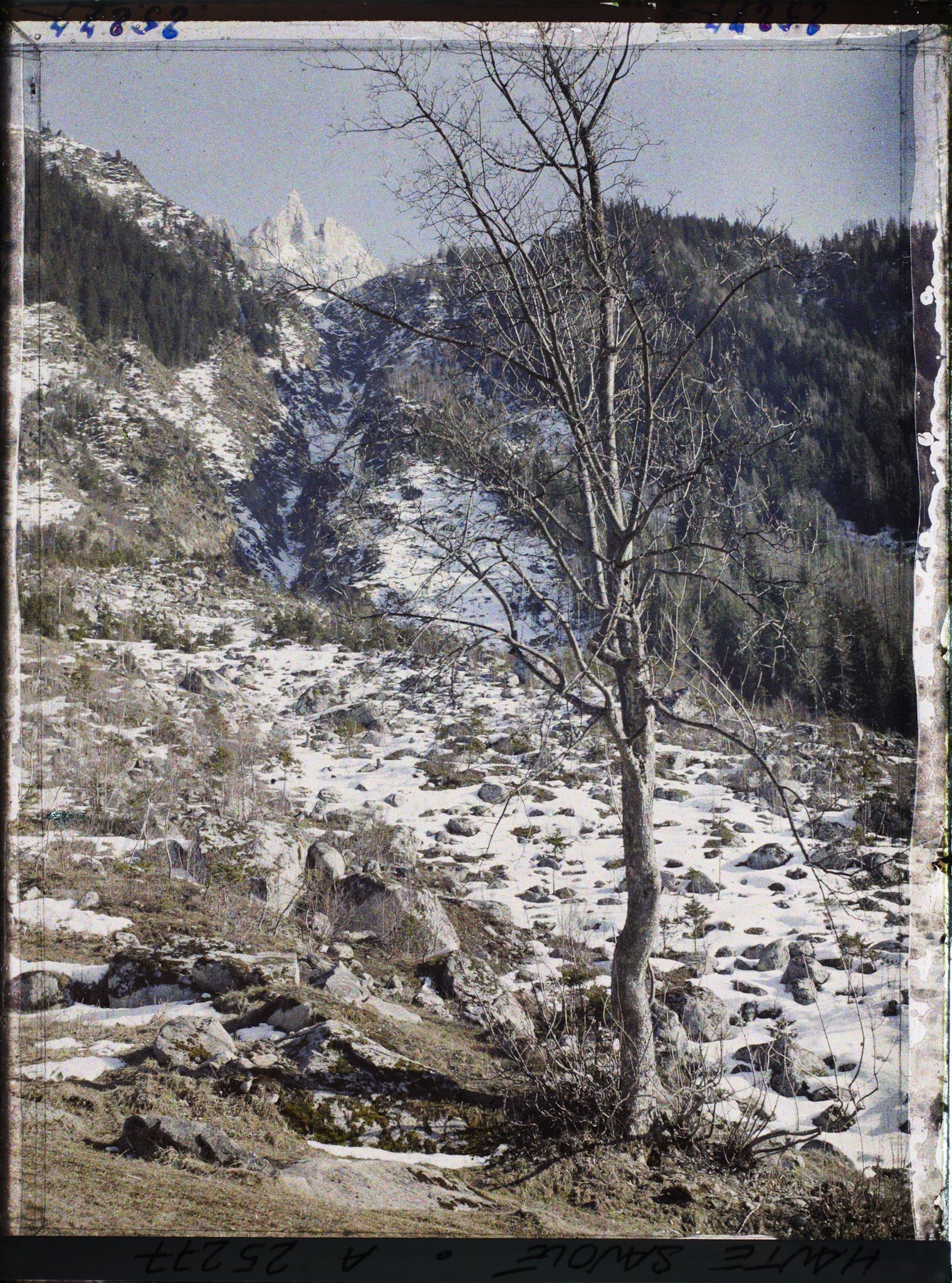 Image représentant Vallée de Chamonix, Le Couloir d'avalanches de l'Aiguille de Charmoz