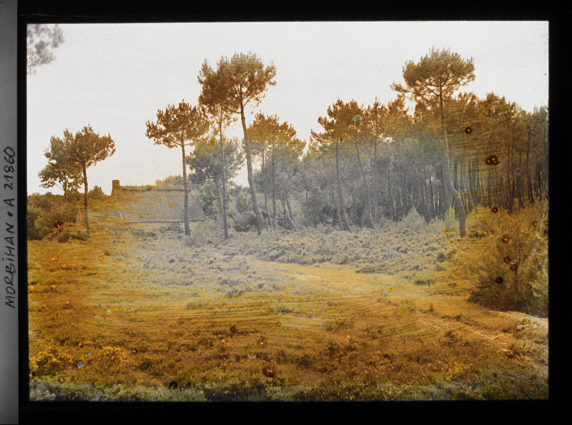 Image représentant Une maison dans la lande à Kerlescan