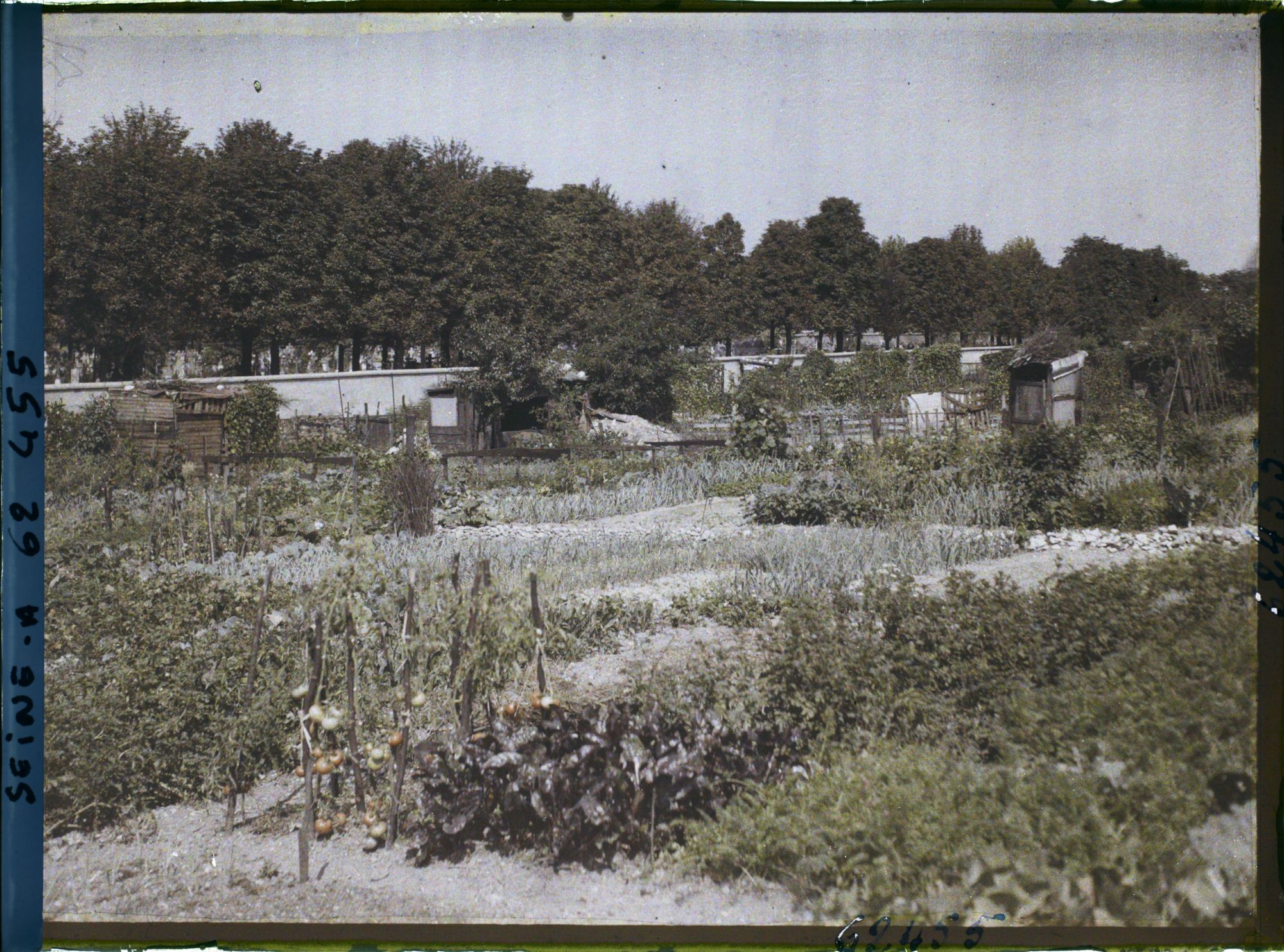 Image représentant Les jardins ouvriers à l'emplacement des anciennes fortifications porte de Clichy et le cimetière des Batignolles