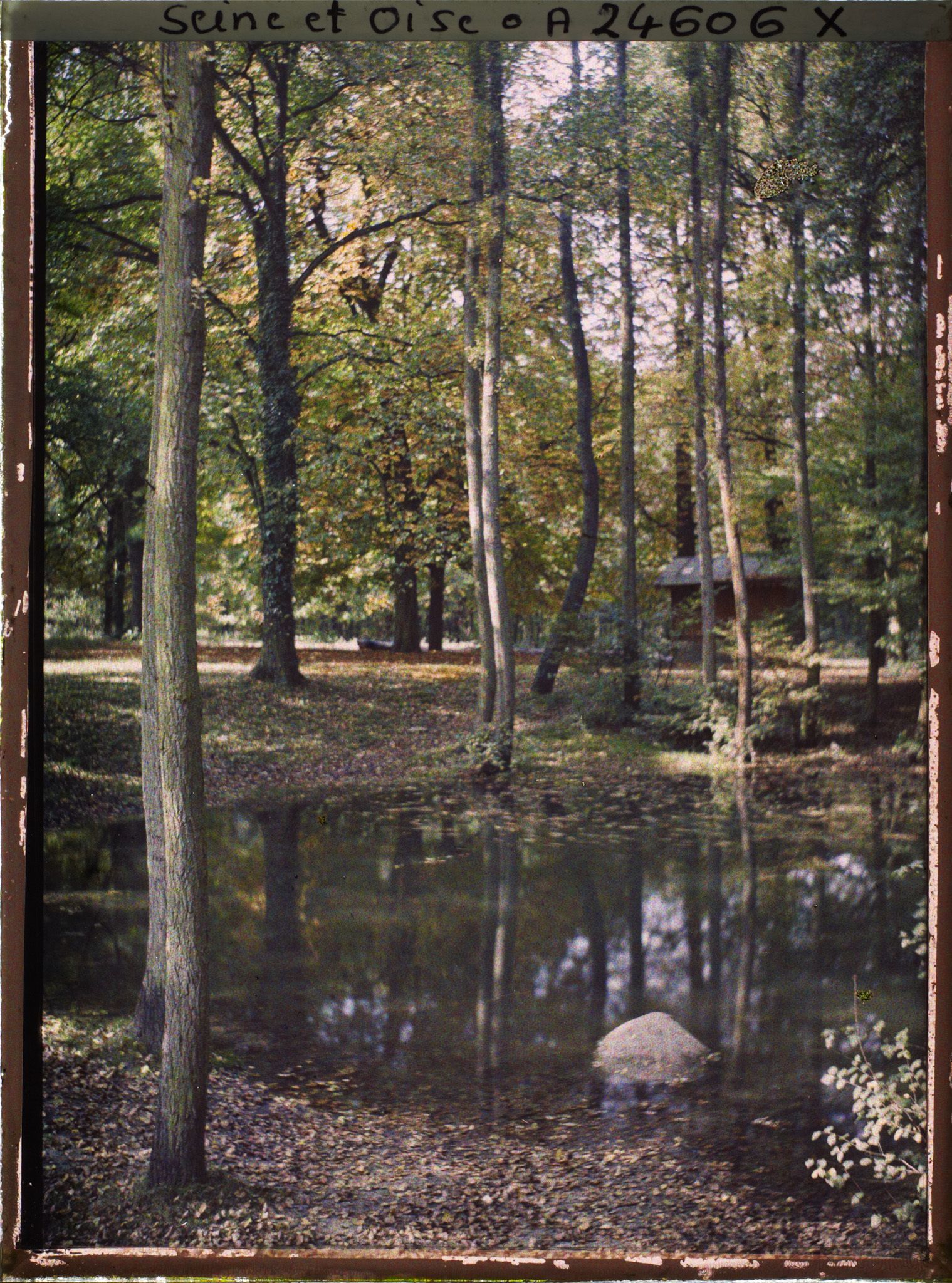 Image représentant La mare aux Biches dans le parc