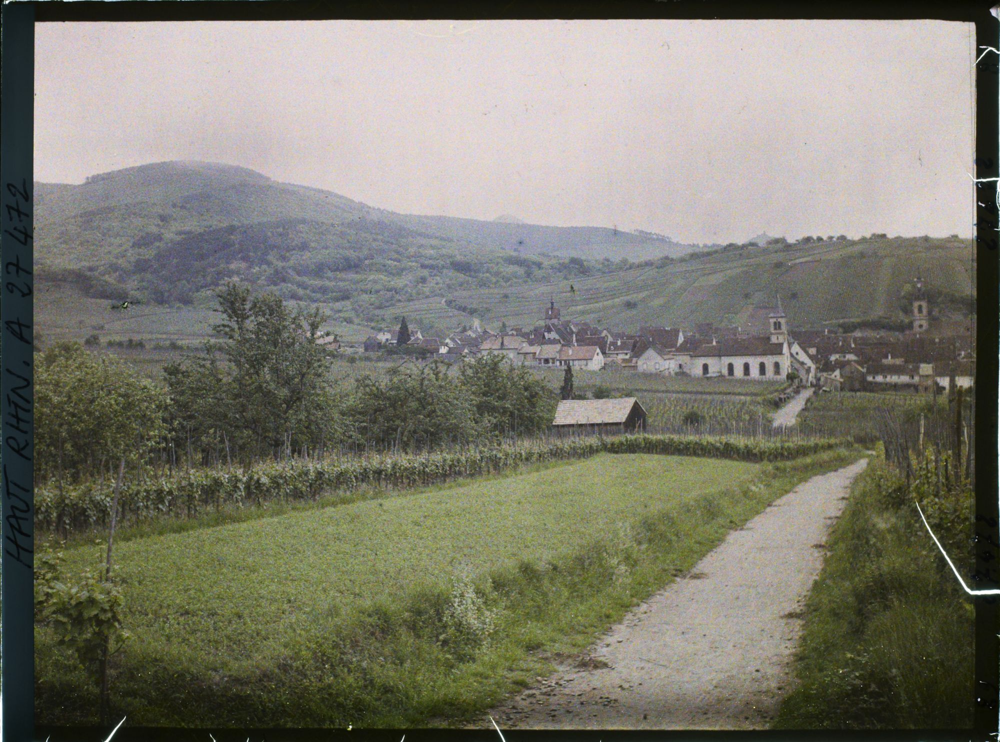 Image représentant France, Riquewihr, Vue d'ensemble sur la ville venant de Kienzheim