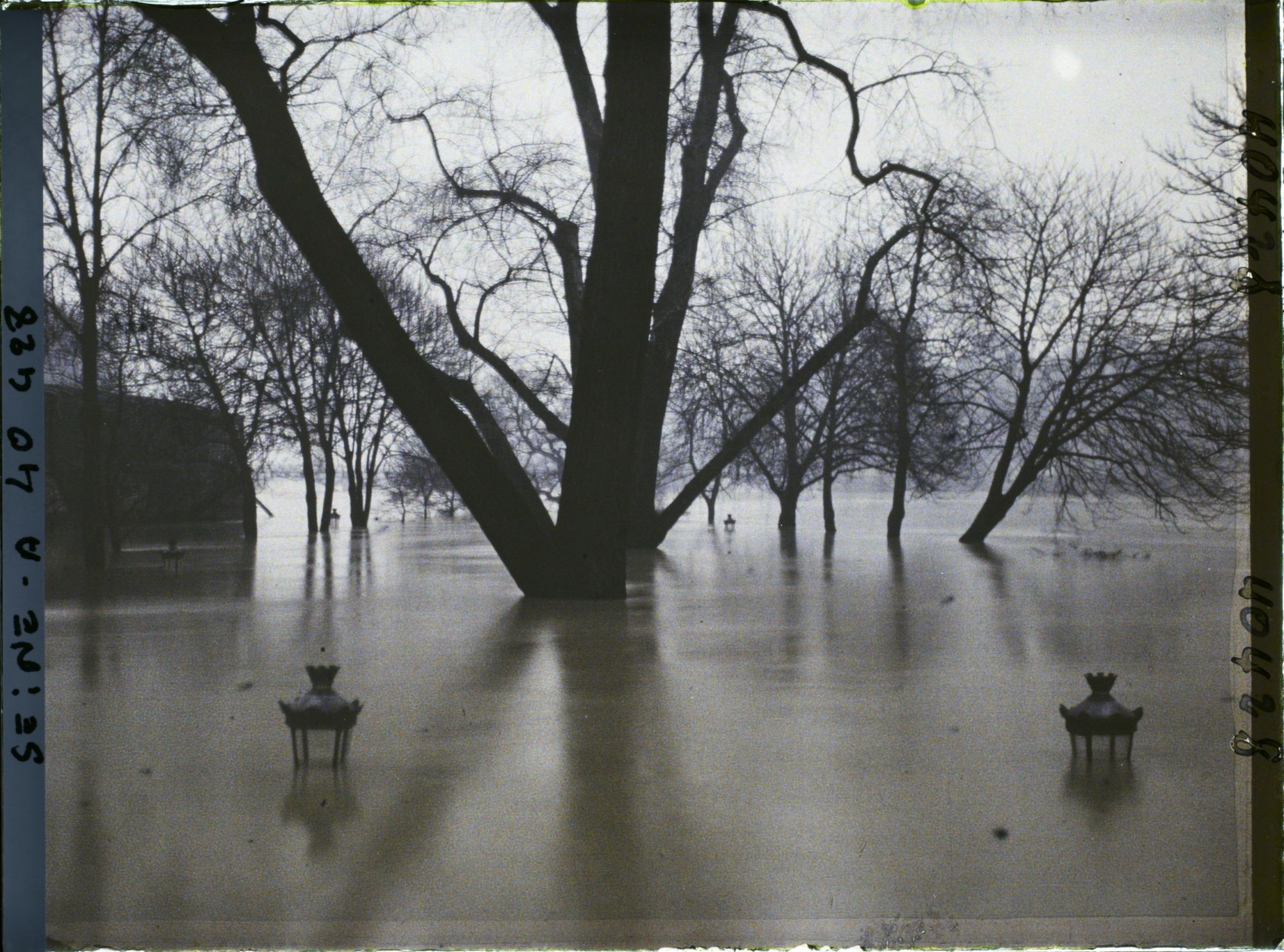 Image représentant La crue de la Seine à la pointe de l'île de la Cité, square du Vert-Galant