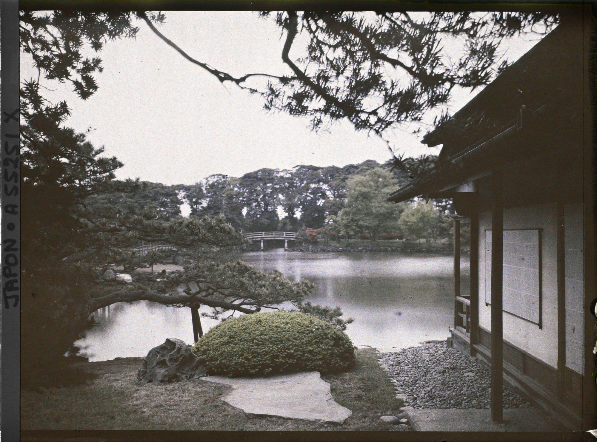 Image représentant Jardin Hama-rikyû koen