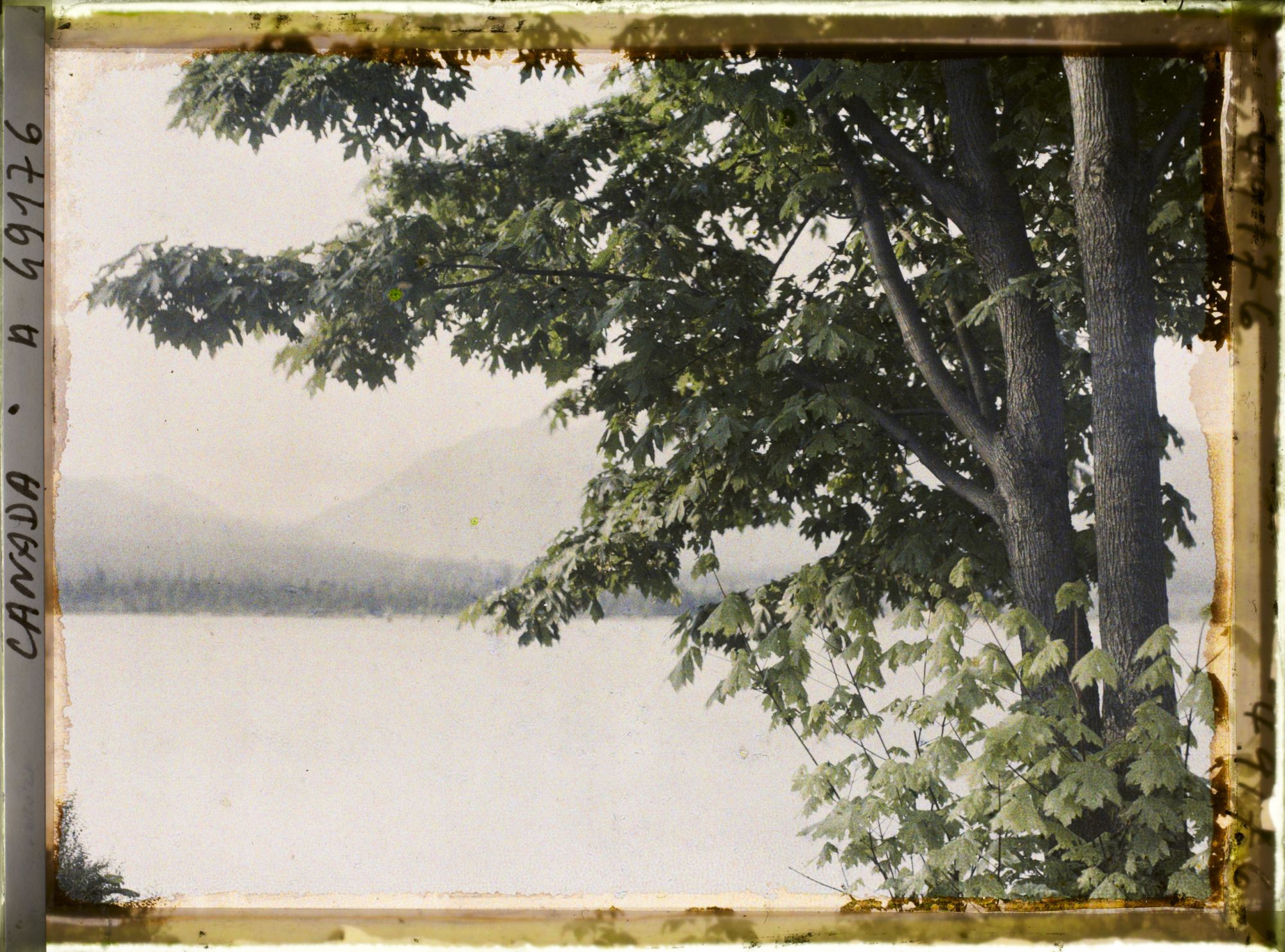 Image représentant Canada, Vancouver, Paysage sur le Burraid Julet