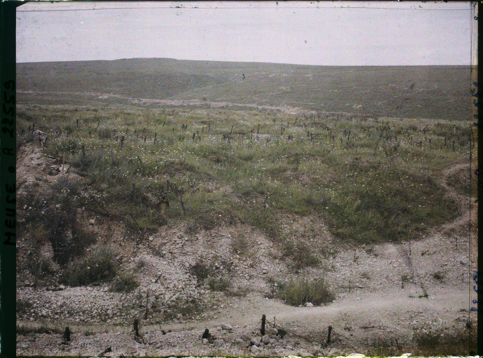 Image représentant France, Vaux, Vue prise du fort de Vaux vers le fort de Douaumont et le bois de la Caillette
