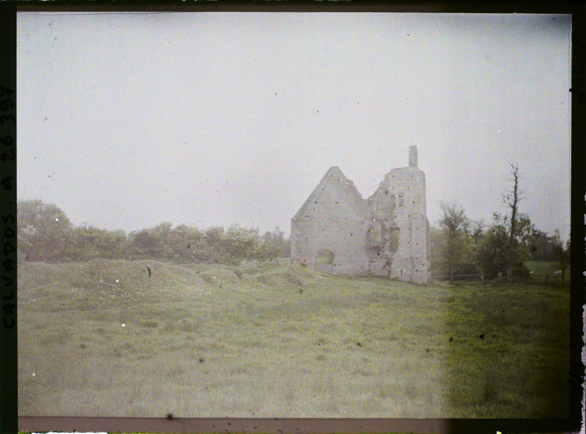 Image représentant Restes du château fort de Maisy