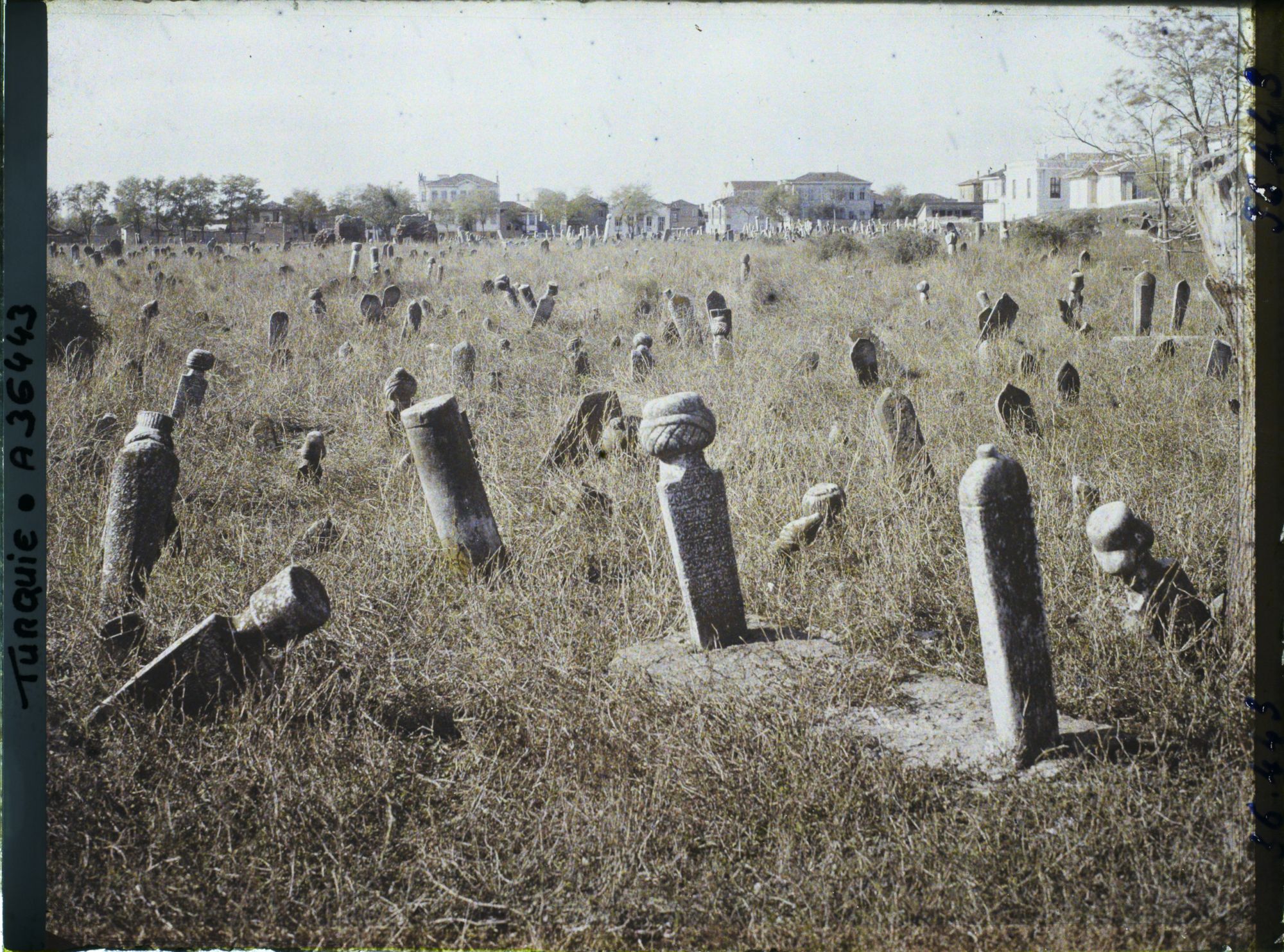 Image représentant Cimetière musulman (tombes et colonnes funéraires plantées sur une surface herbeuse)