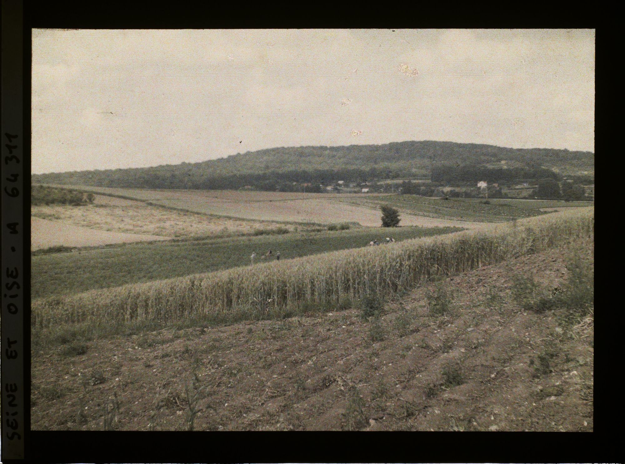 Image représentant Ile de France, Sarcelles-S-Brice, Cultures diverses