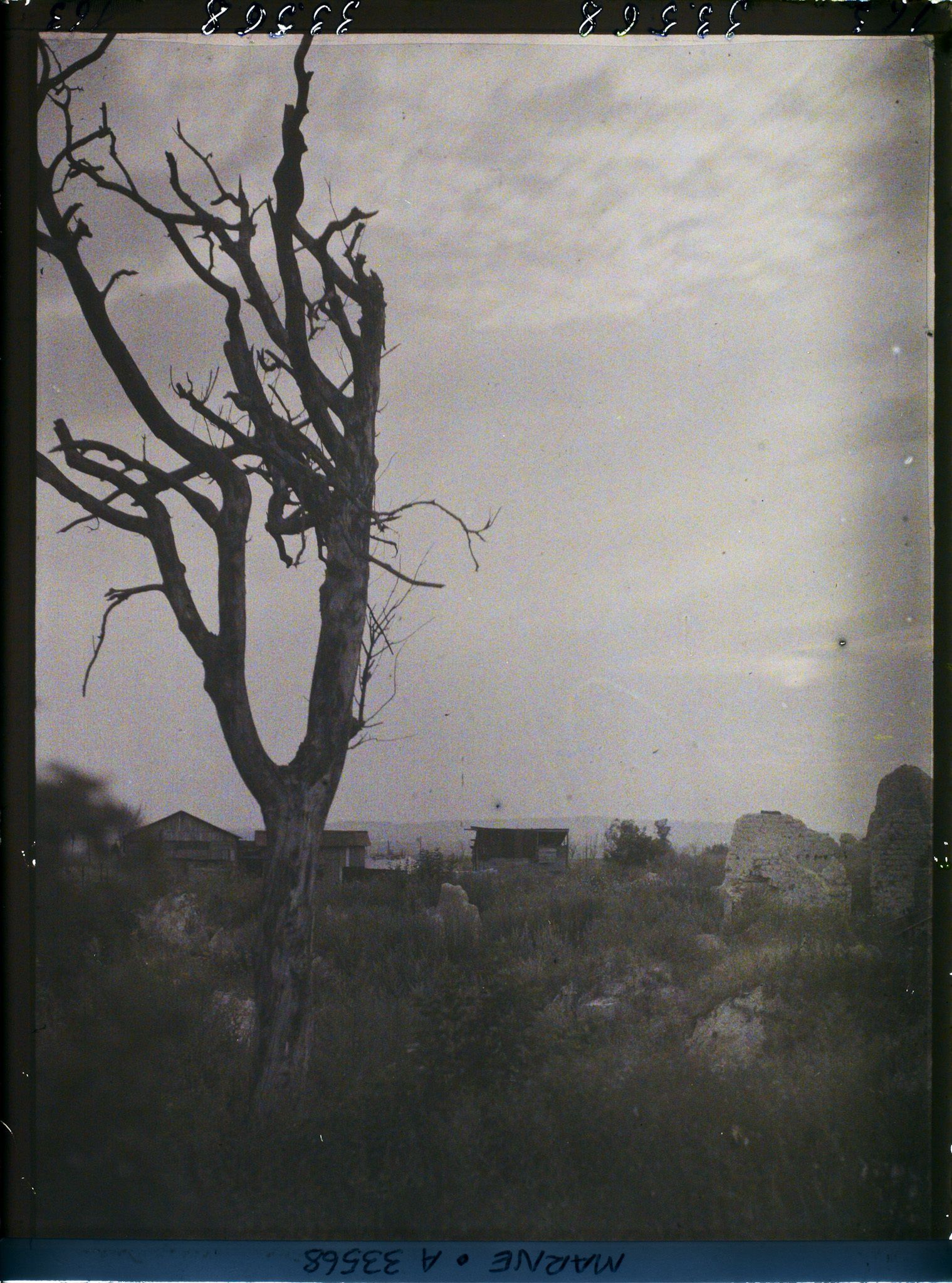 Image représentant France, Nauroy, Arbres morts au coucher du Soleil