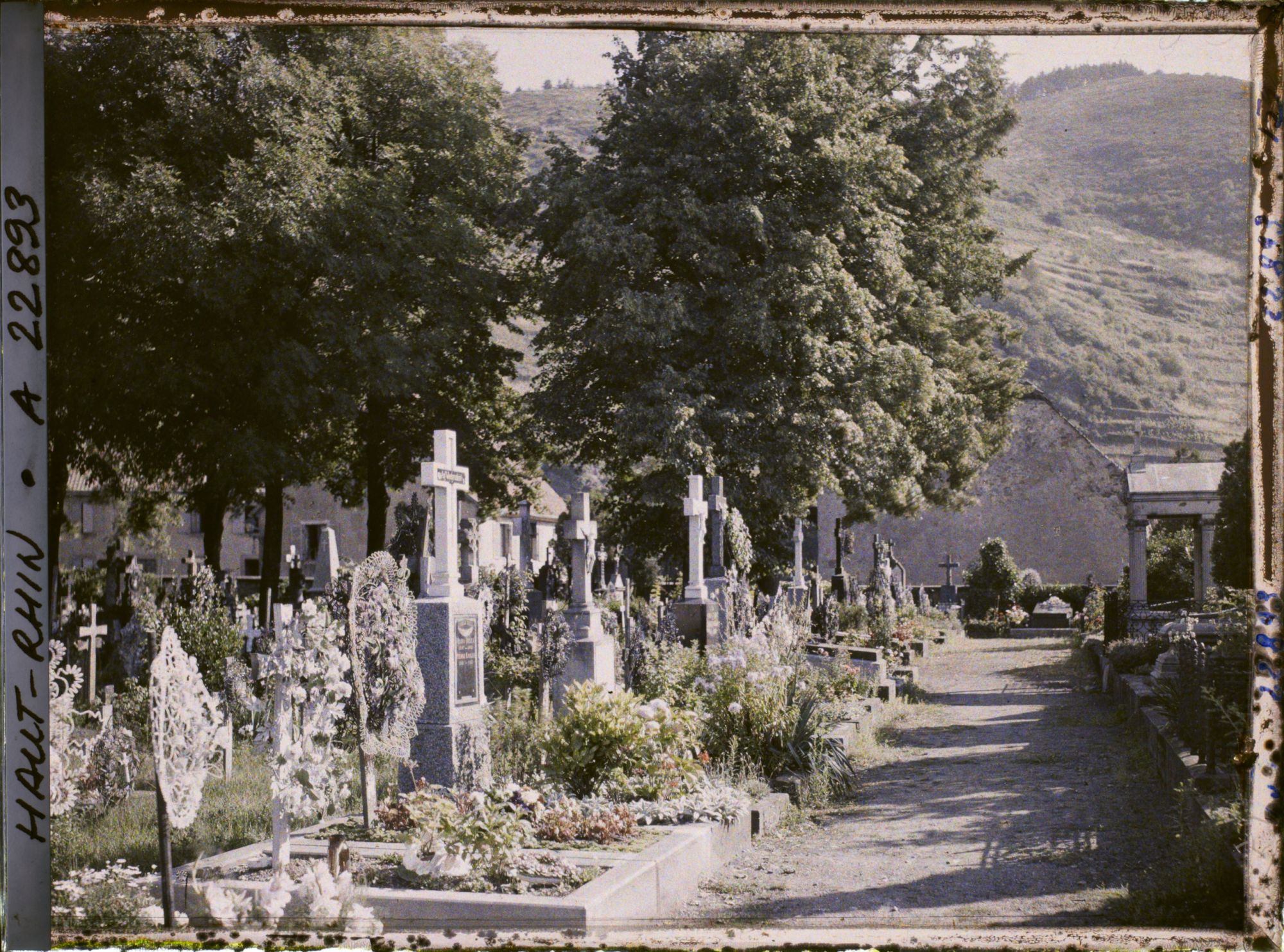 Image représentant France, Thann, Le Cimetière