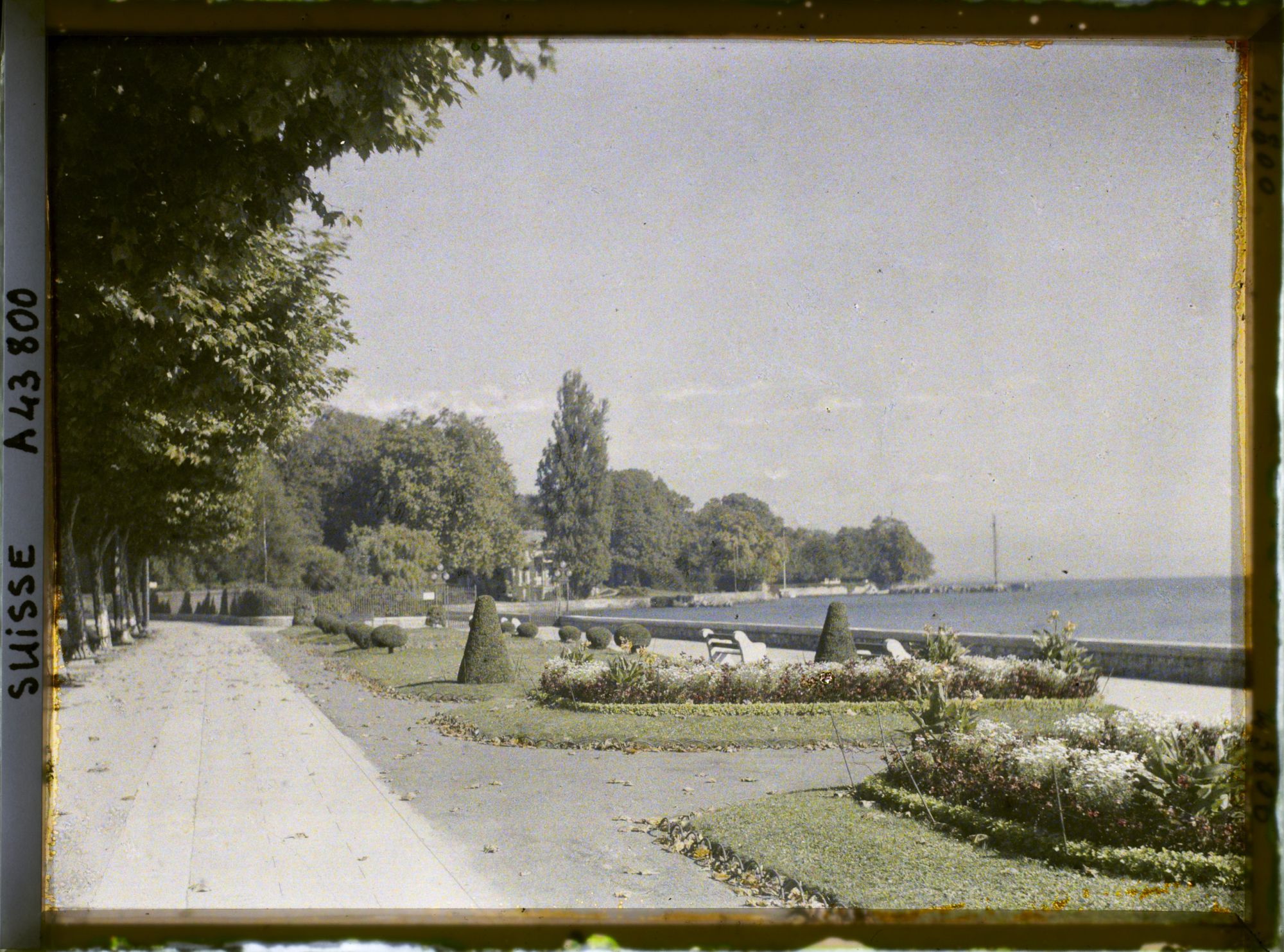 Image représentant Le quai Wilson, le Léman et le parc Mon Repos