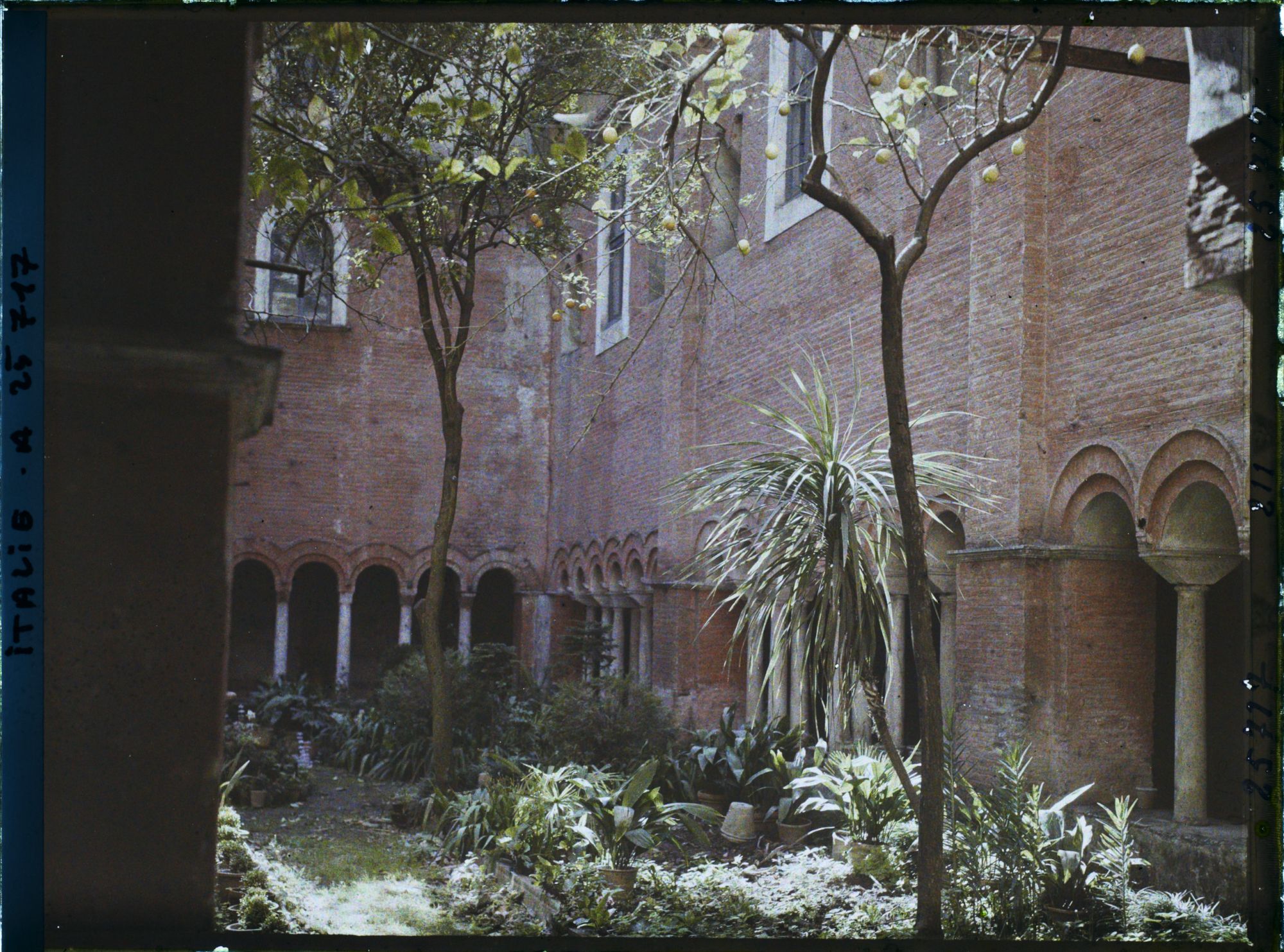 Image représentant Cloître de la basilica di San Lorenzo fuori le mura