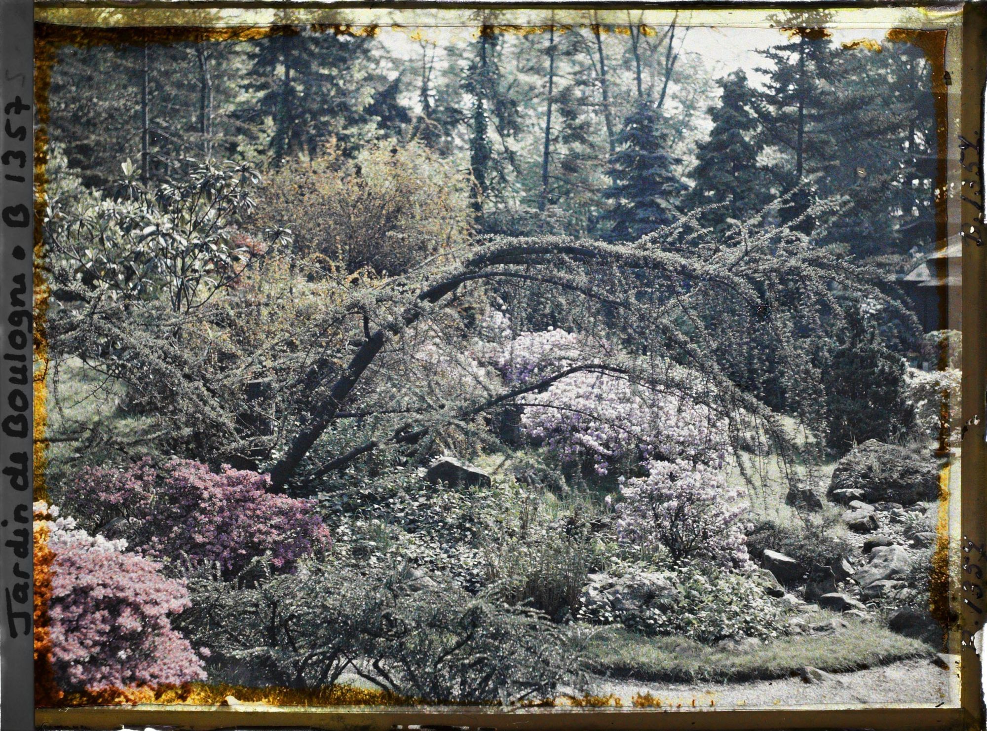 Image représentant Coin de paysage fleuri au bord d'étroits chemins situés à l'ouest du " village japonais "