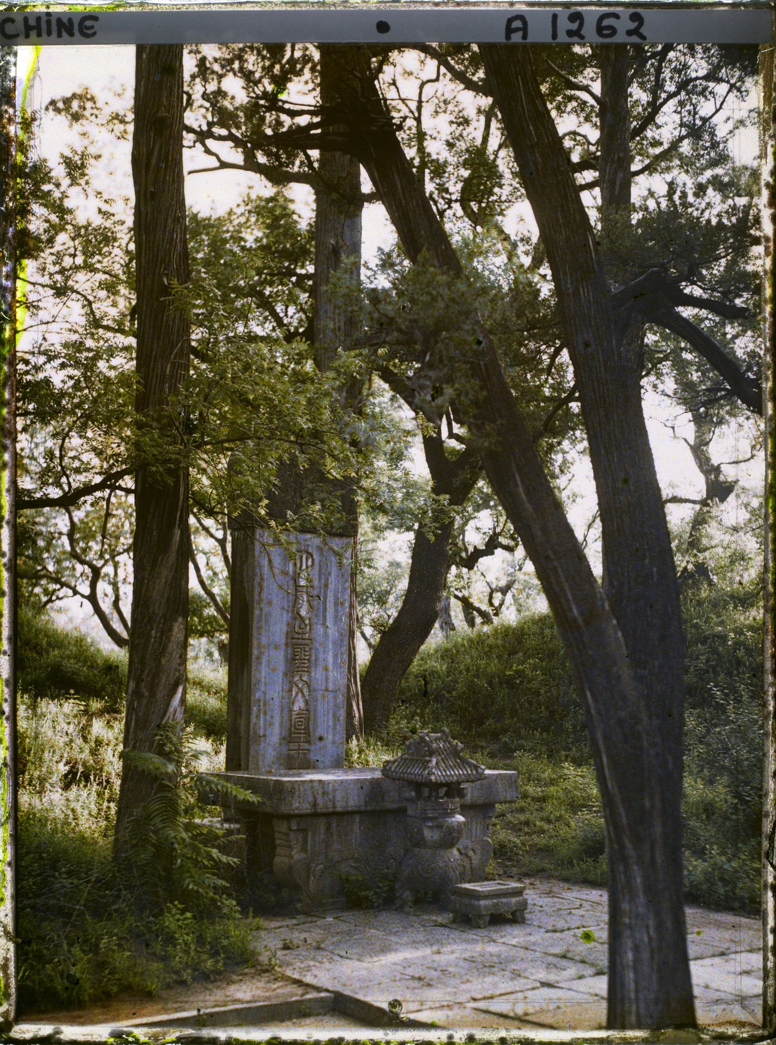 Image représentant Konglin, la nécropole de la famille de Confucius