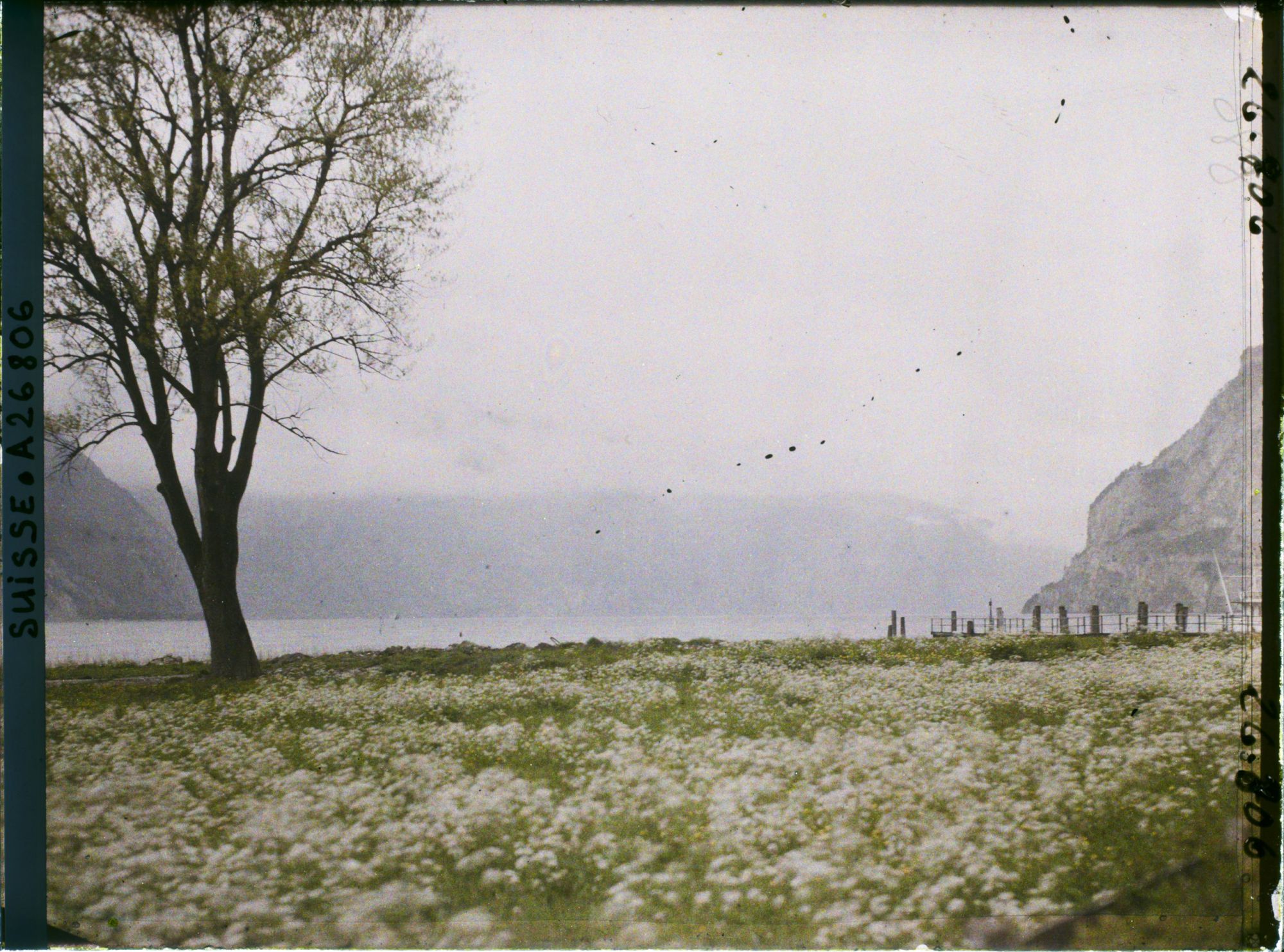 Image représentant Le lac des Quatre-Cantons et le débarcadère de Flüelen
