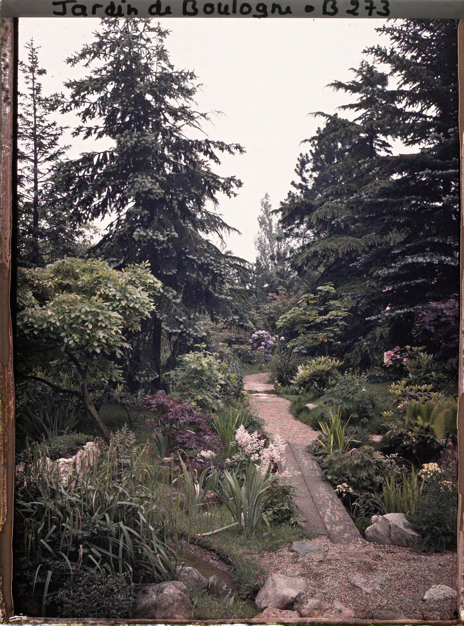 Image représentant Allée du " sanctuaire japonais " située dans l'axe d'un pont japonais, non loin de la façade de temple