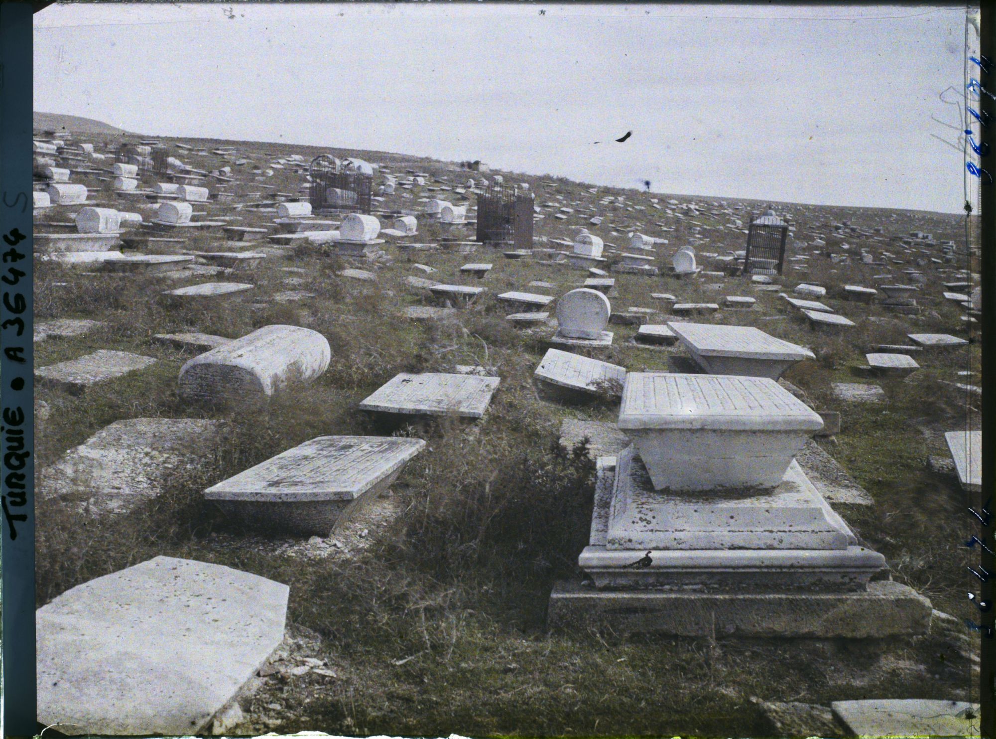 Image représentant Cimetière juif (tombes)