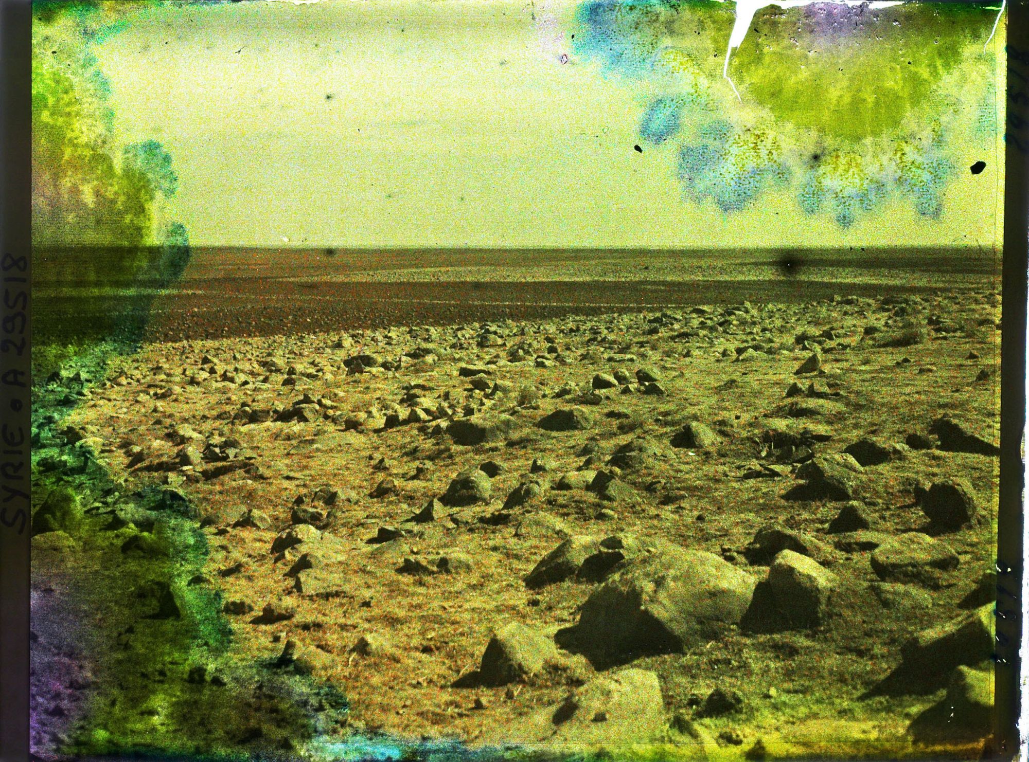 Image représentant Champs de pierres basaltiques