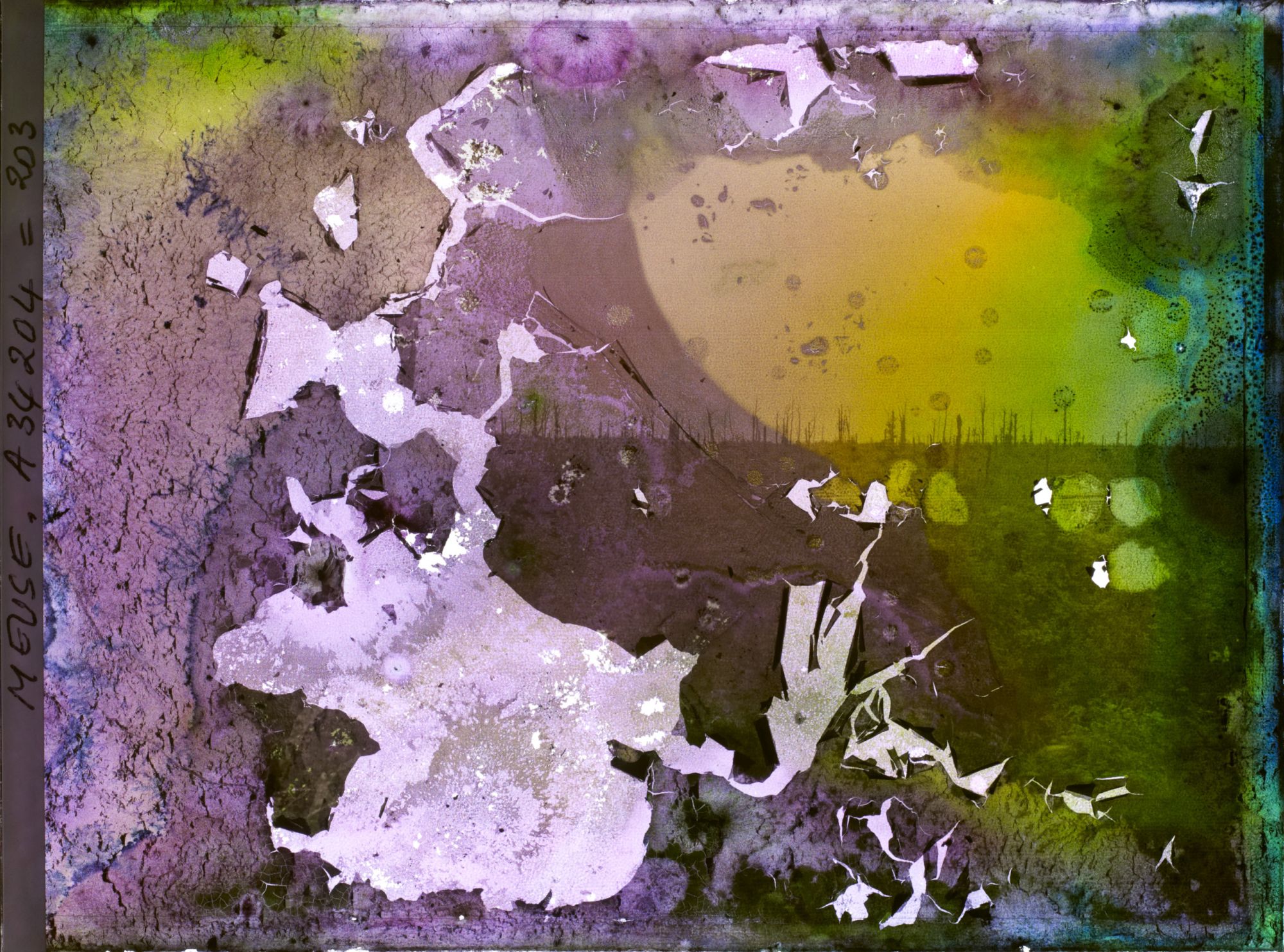 Image représentant France, La Tête à Vache, Le bois de la Louvière vu de la Tête à Vache