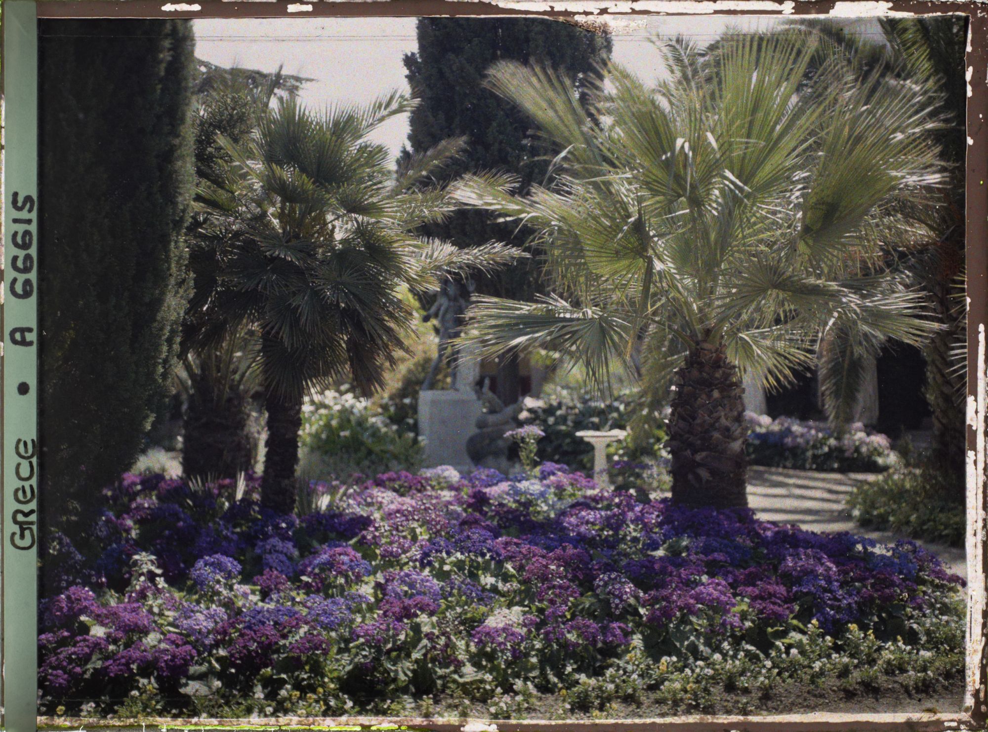 Image représentant L'Achilleion - Les Jardins