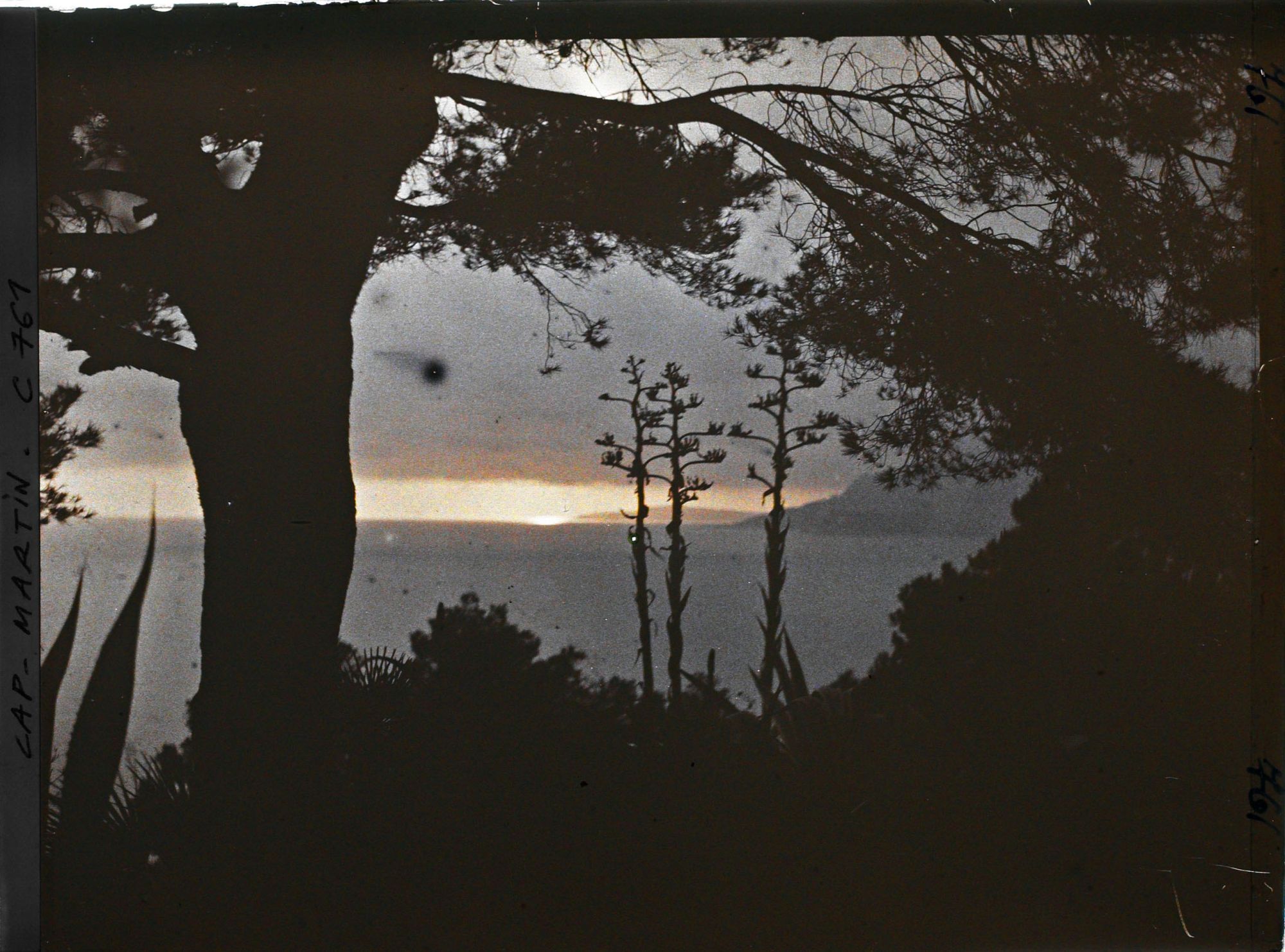 Image représentant Coucher de soleil sur la mer vu du jardin