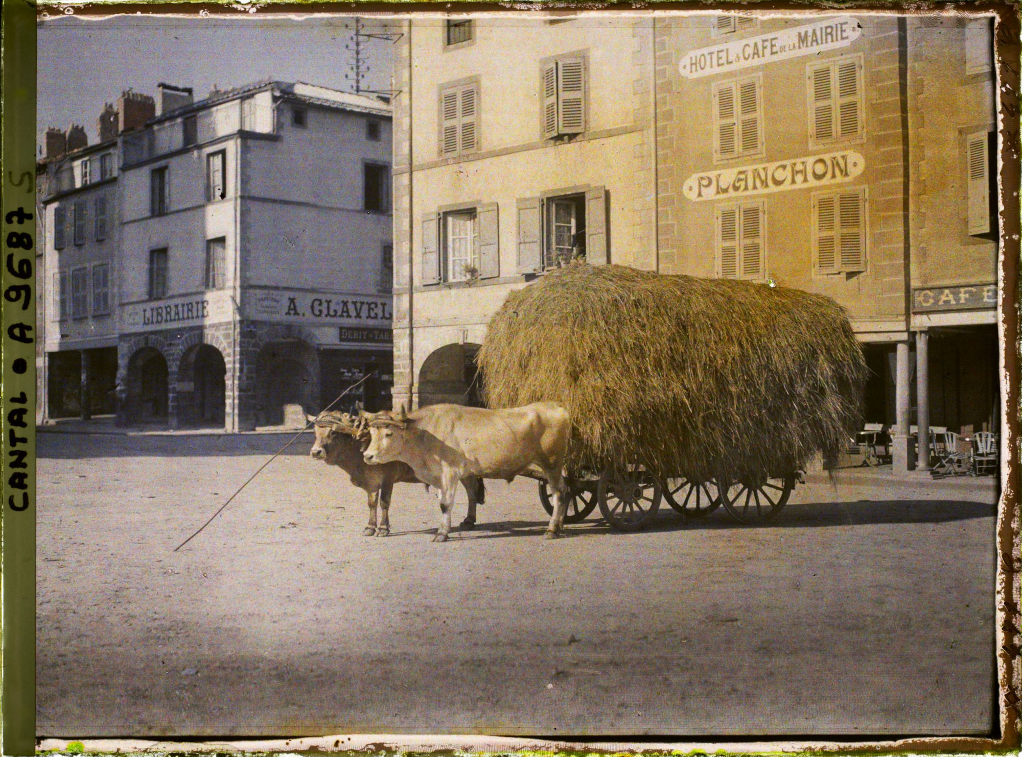 Image représentant Un char de foin attelé de deux boeufs de race d'Aubrac, place des armes