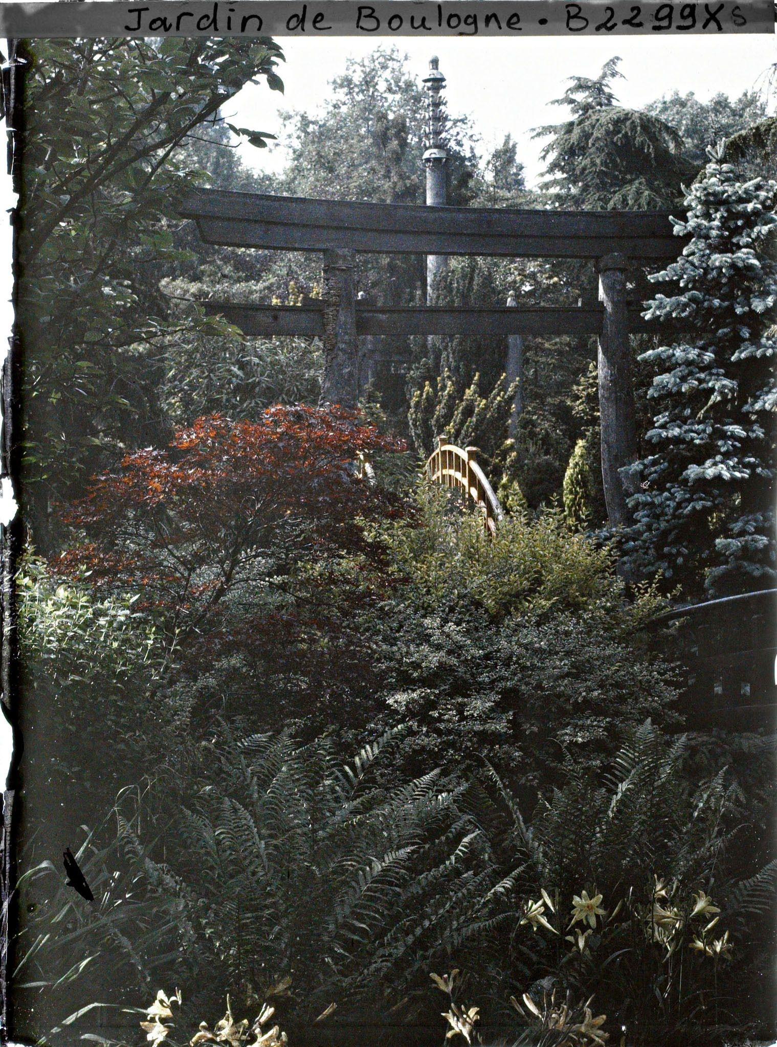 Image représentant Torii dans un environnement arboré, par-delà le pont rouge du " sanctuaire japonais "
