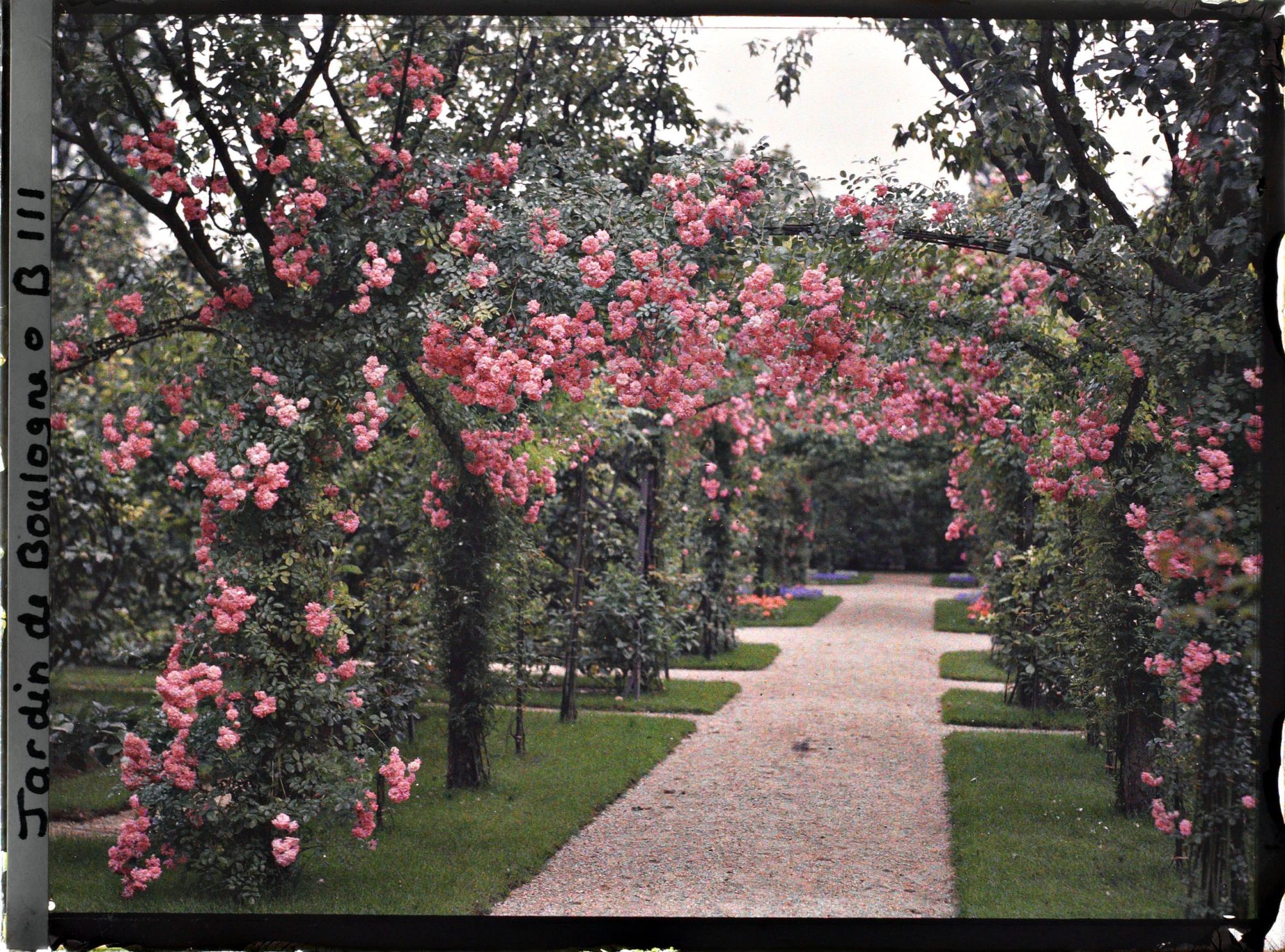 Image représentant Axe central du verger-roseraie vu vers la dépendance, après le rond-point proche du jardin français