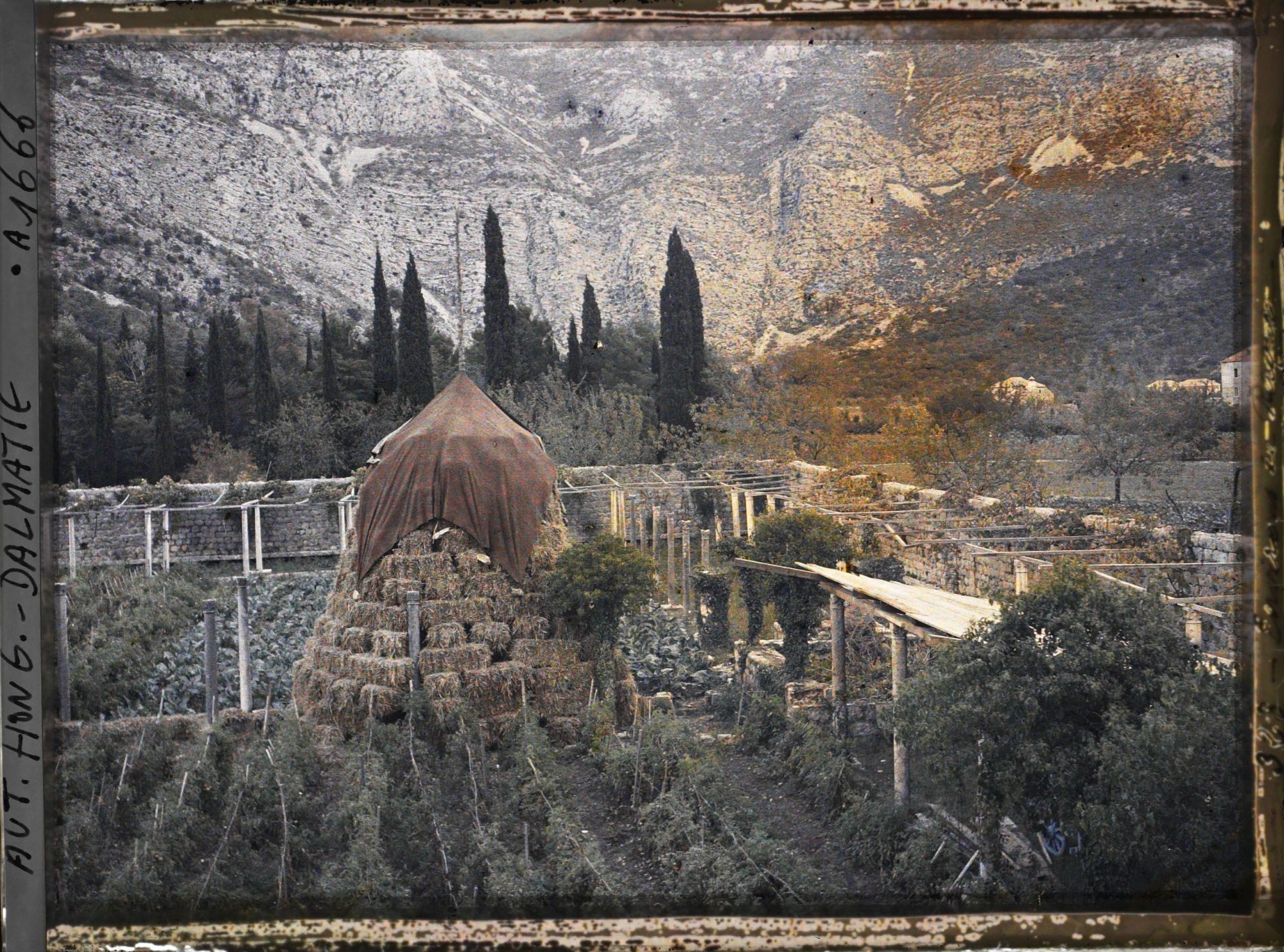 Image représentant L'ensemble du jardin