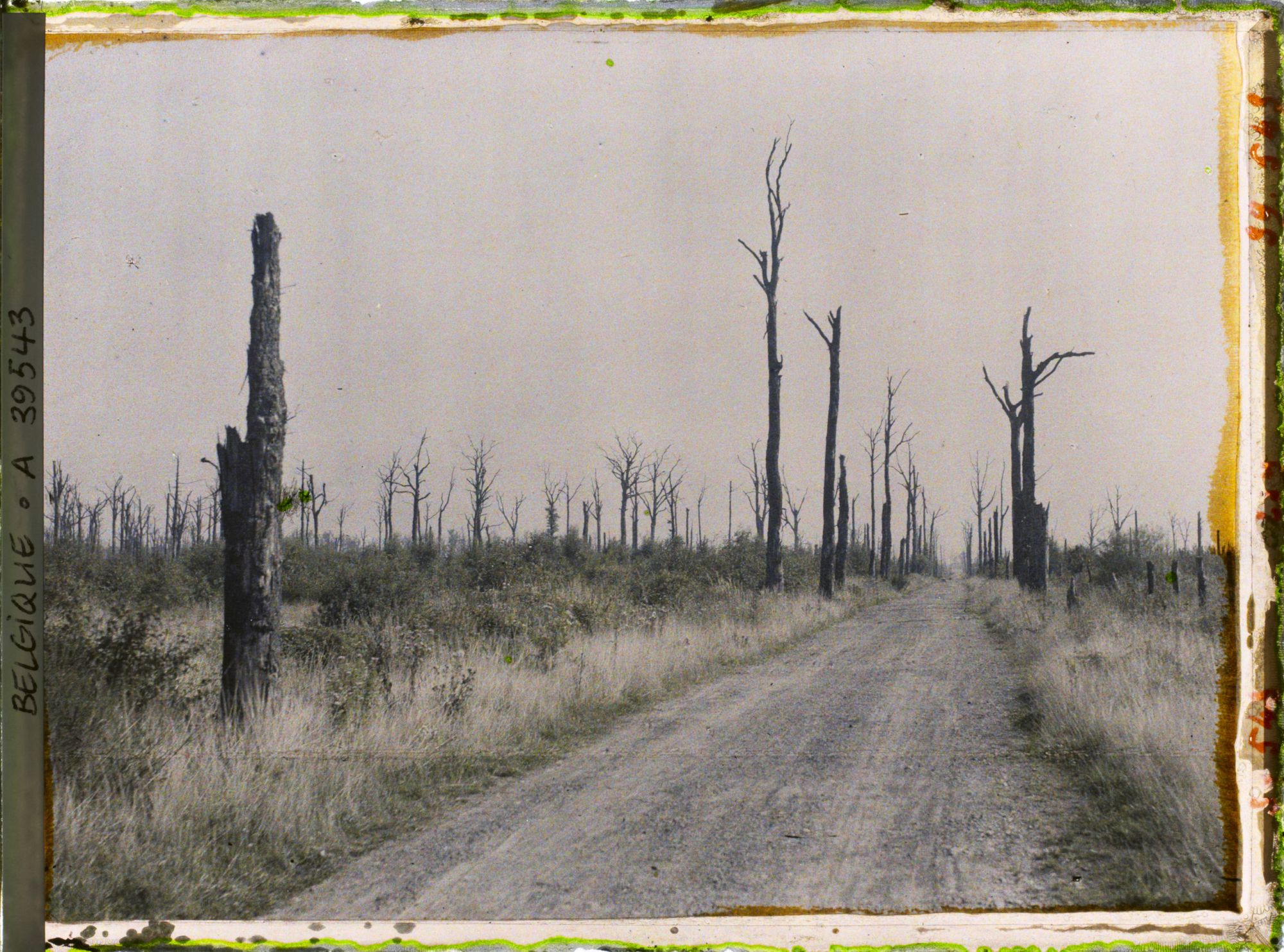 Image représentant Belgique, Font d'Houthulst, Font d'Houthulst, Route dans le font (Sud Est)