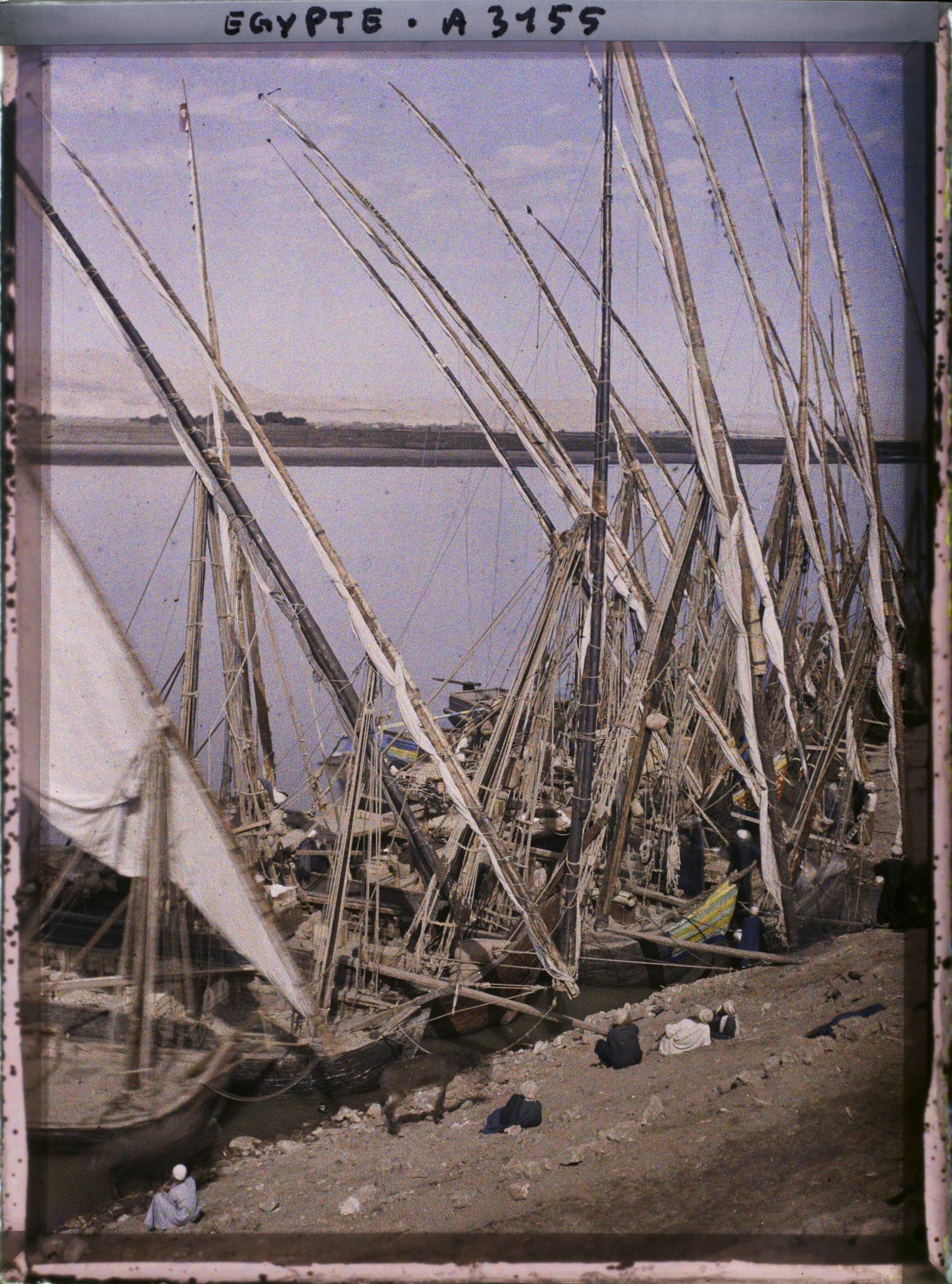 Image représentant Bords du Nil